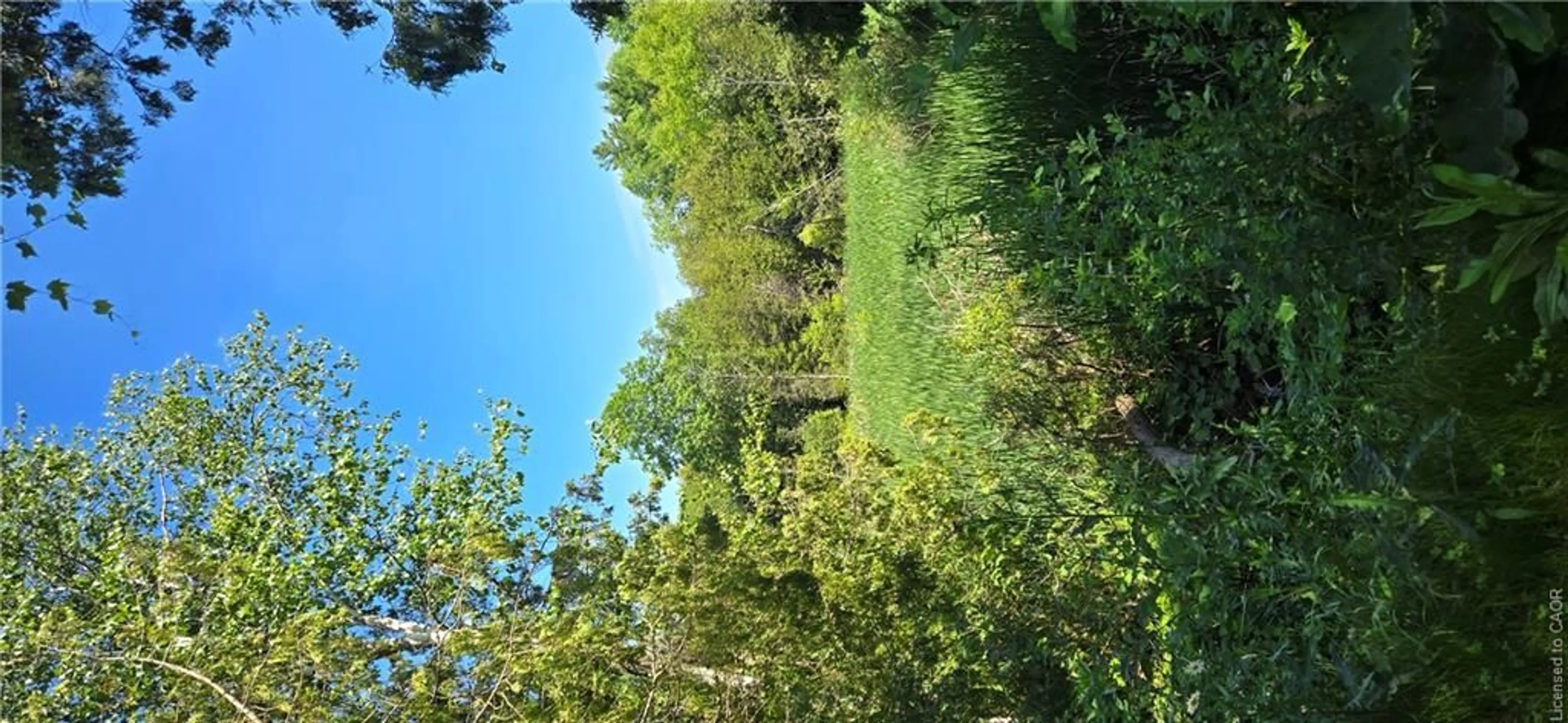 A pic from outside/outdoor area/front of a property/back of a property/a pic from drone, forest/trees view for 1085 Concession 10 Rd #29, Flamborough Ontario N0B 2J0
