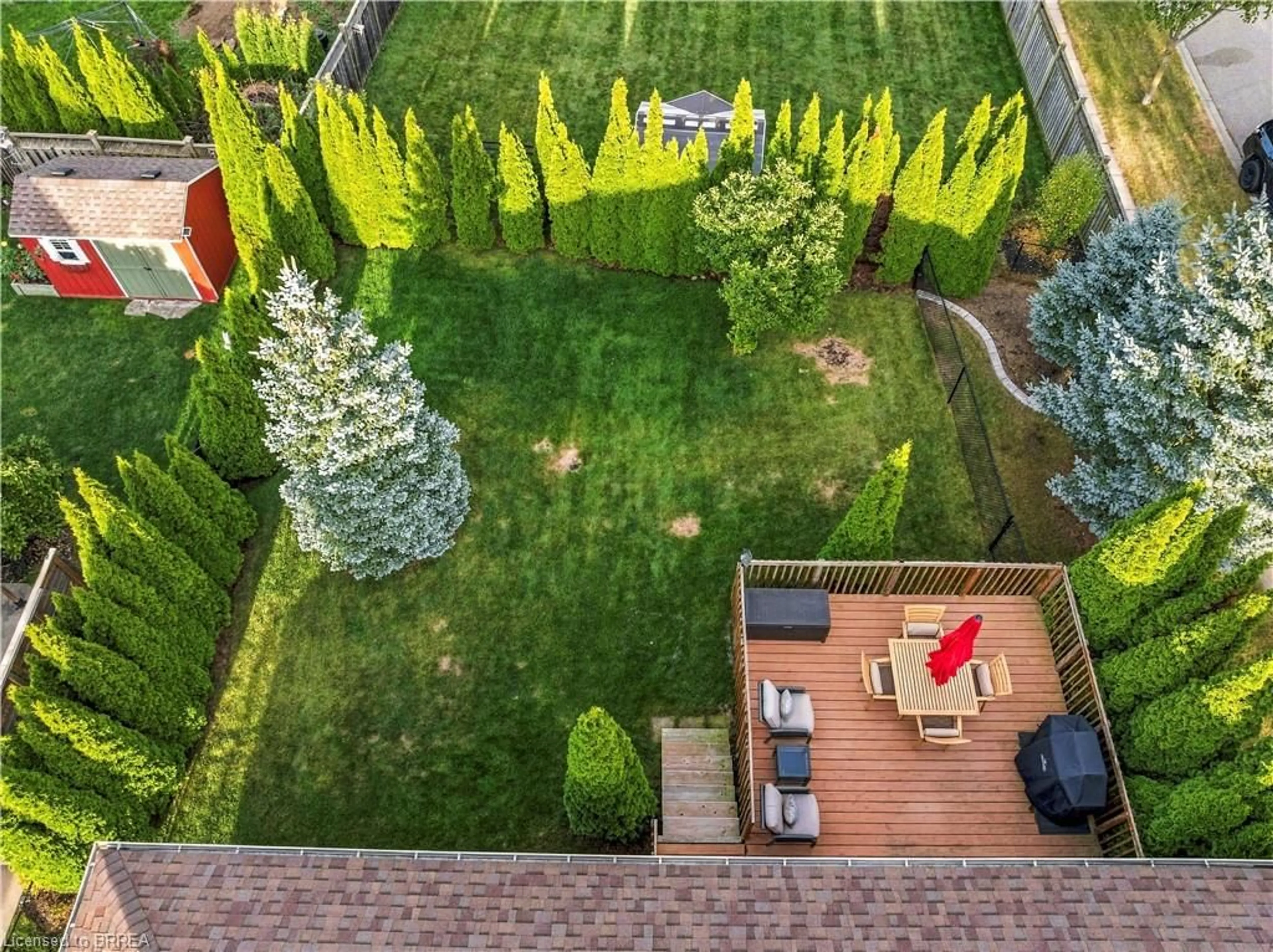 A pic from outside/outdoor area/front of a property/back of a property/a pic from drone, forest/trees view for 79 Court Dr, Paris Ontario N3L 4G7