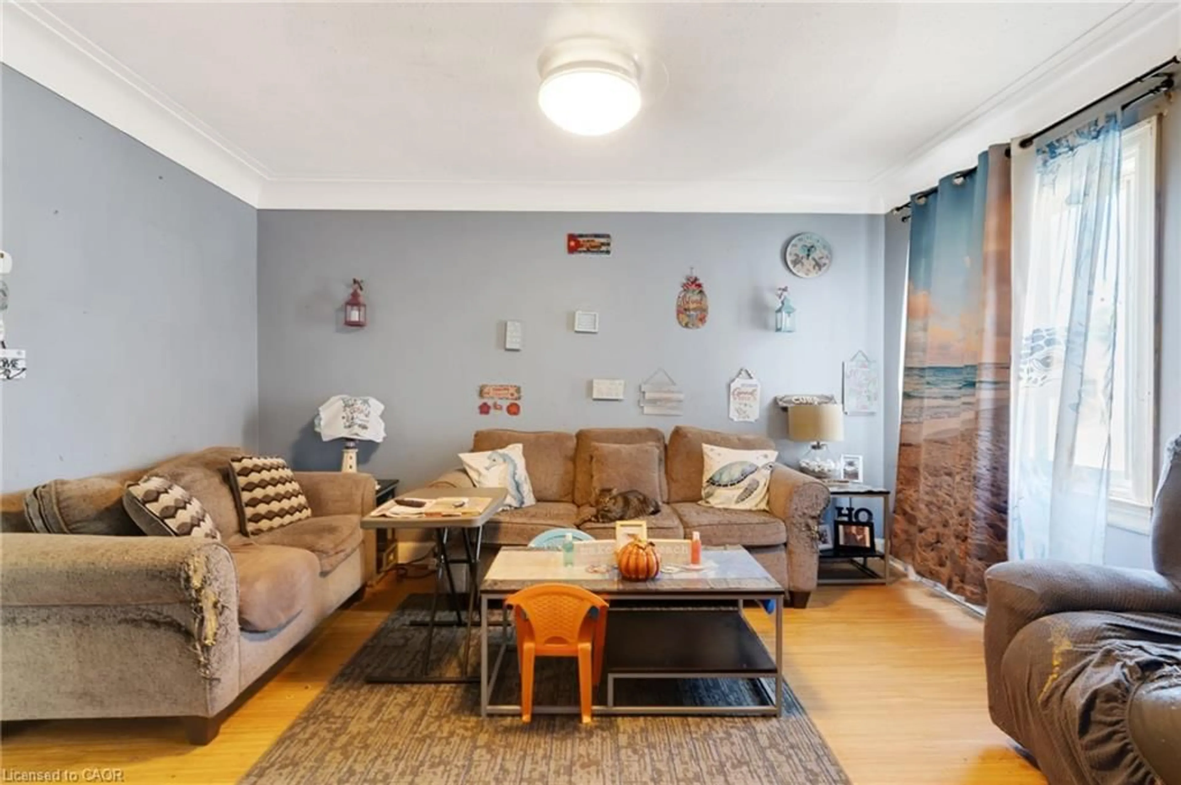 Living room with furniture, unknown for 259 West St, Brantford Ontario N3R 3V4
