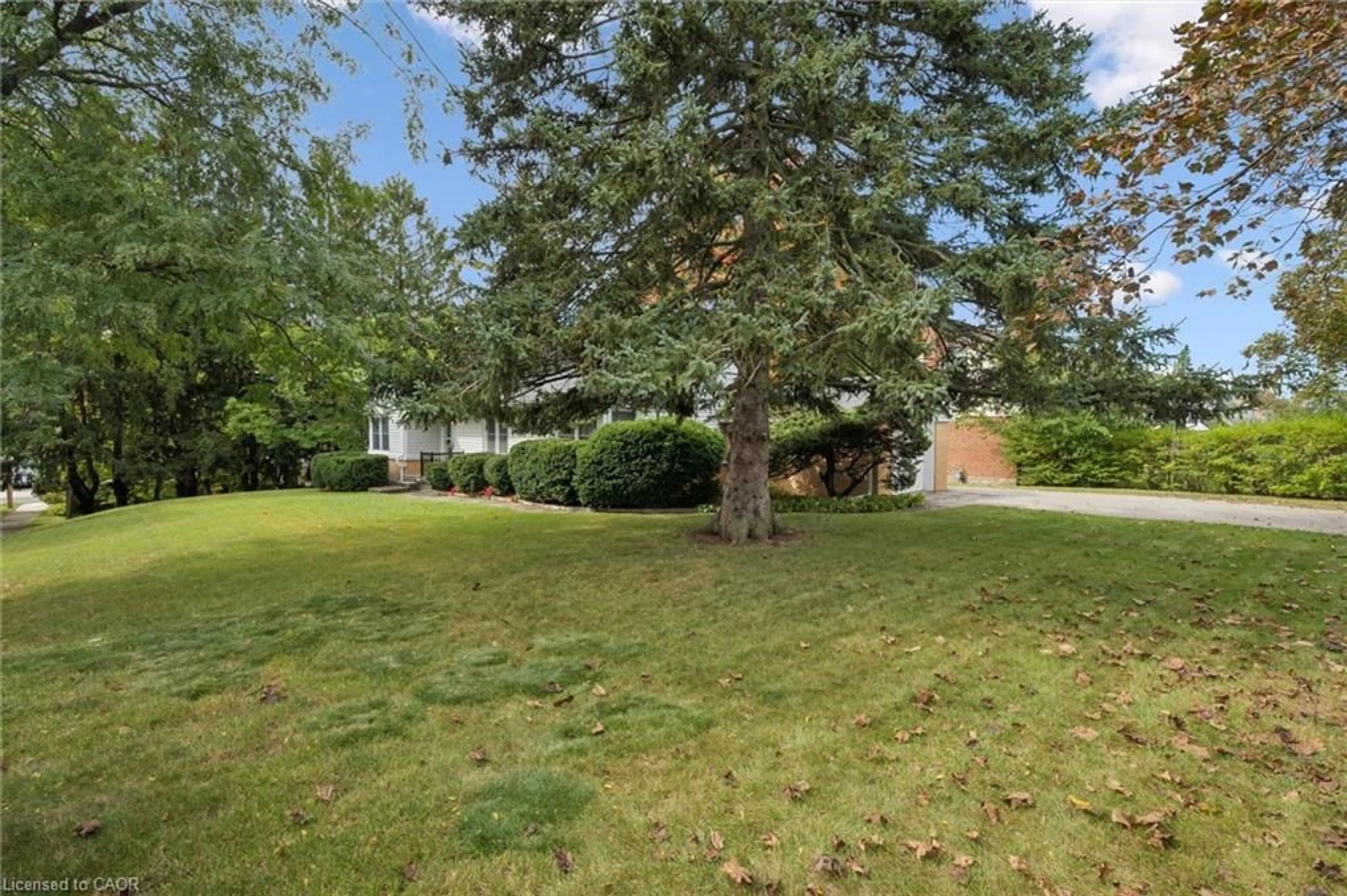 A pic from outside/outdoor area/front of a property/back of a property/a pic from drone, unknown for 65 Belmont Ave, Kitchener Ontario N2M 1L5