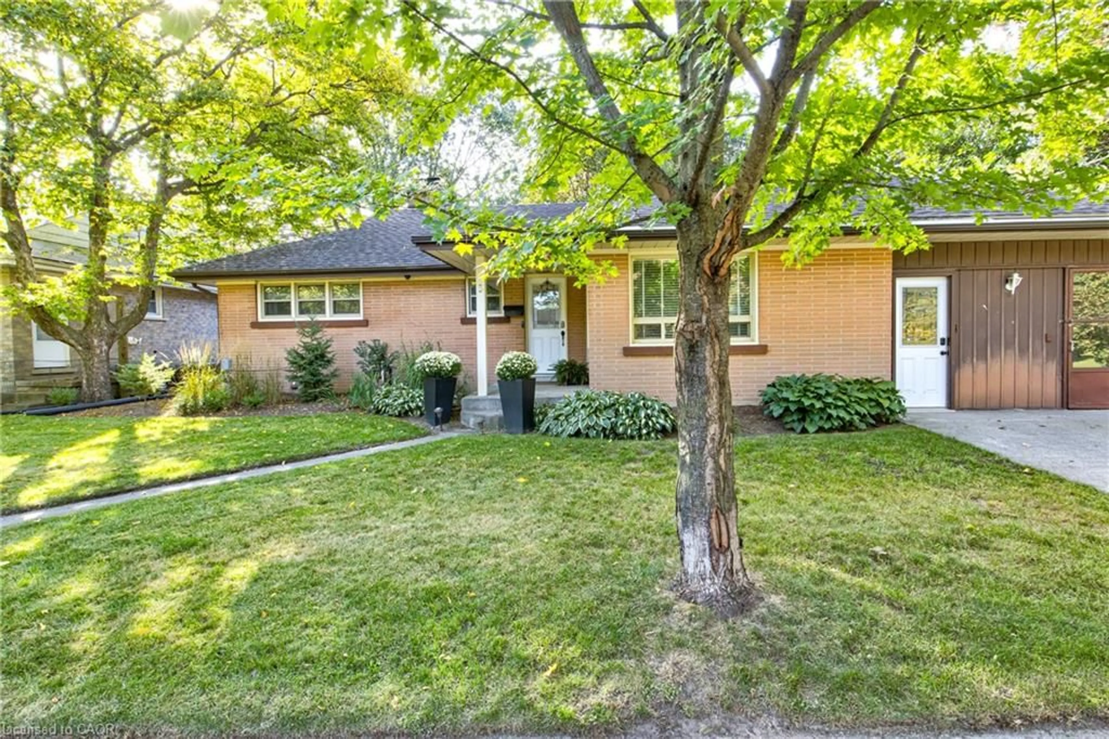 Home with vinyl exterior material, street for 3 Oakwood Ave, Kitchener Ontario N2H 6G7