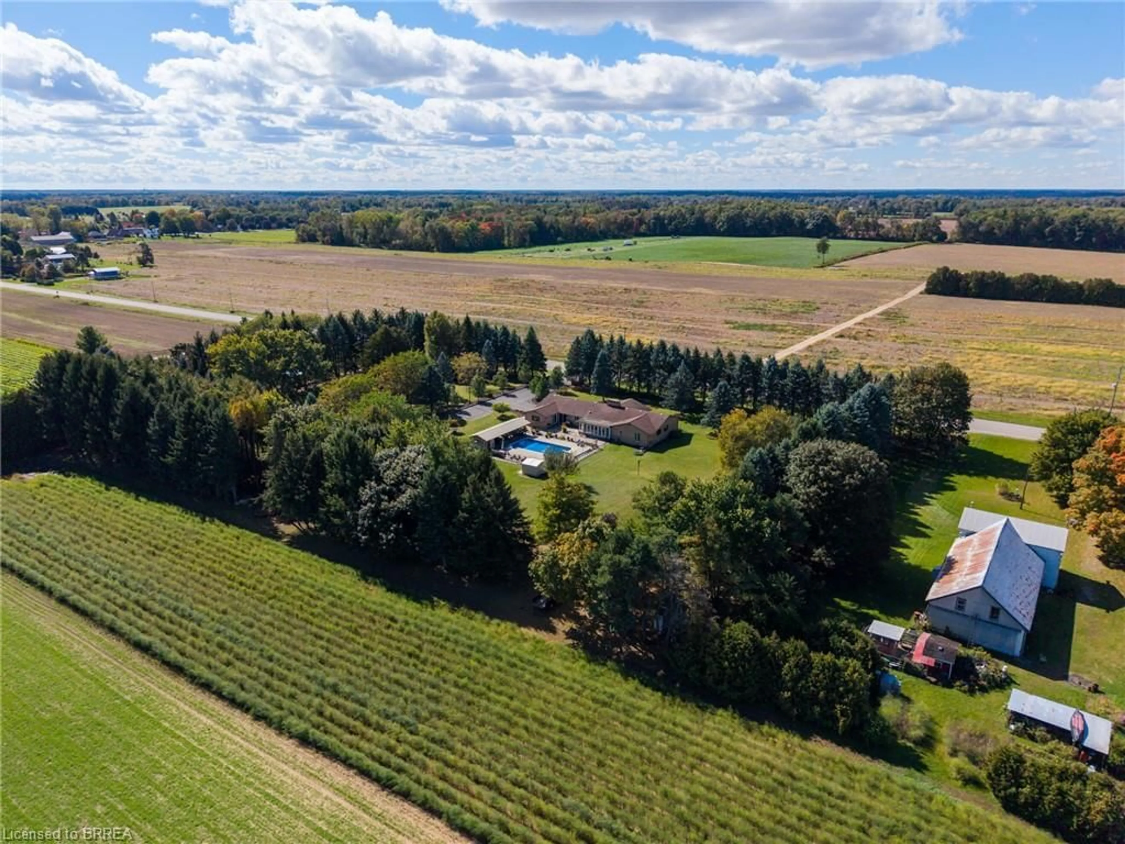 A pic from outside/outdoor area/front of a property/back of a property/a pic from drone, forest/trees view for 3362 Teeterville Rd, Windham Centre Ontario N0E 2A0