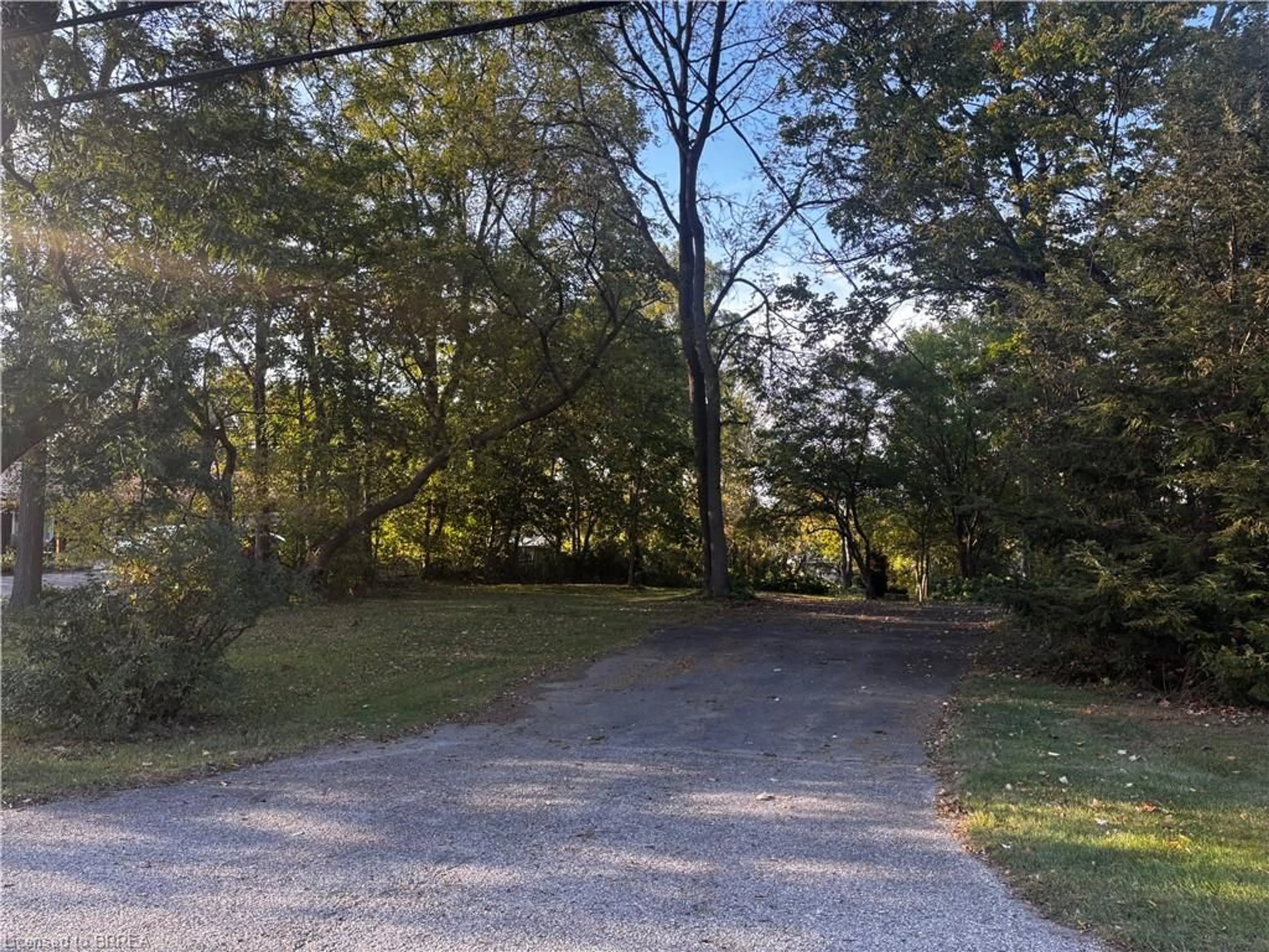 A pic from outside/outdoor area/front of a property/back of a property/a pic from drone, forest/trees view for 573 Mount Pleasant Rd, Mount Pleasant Ontario N3T 5L5