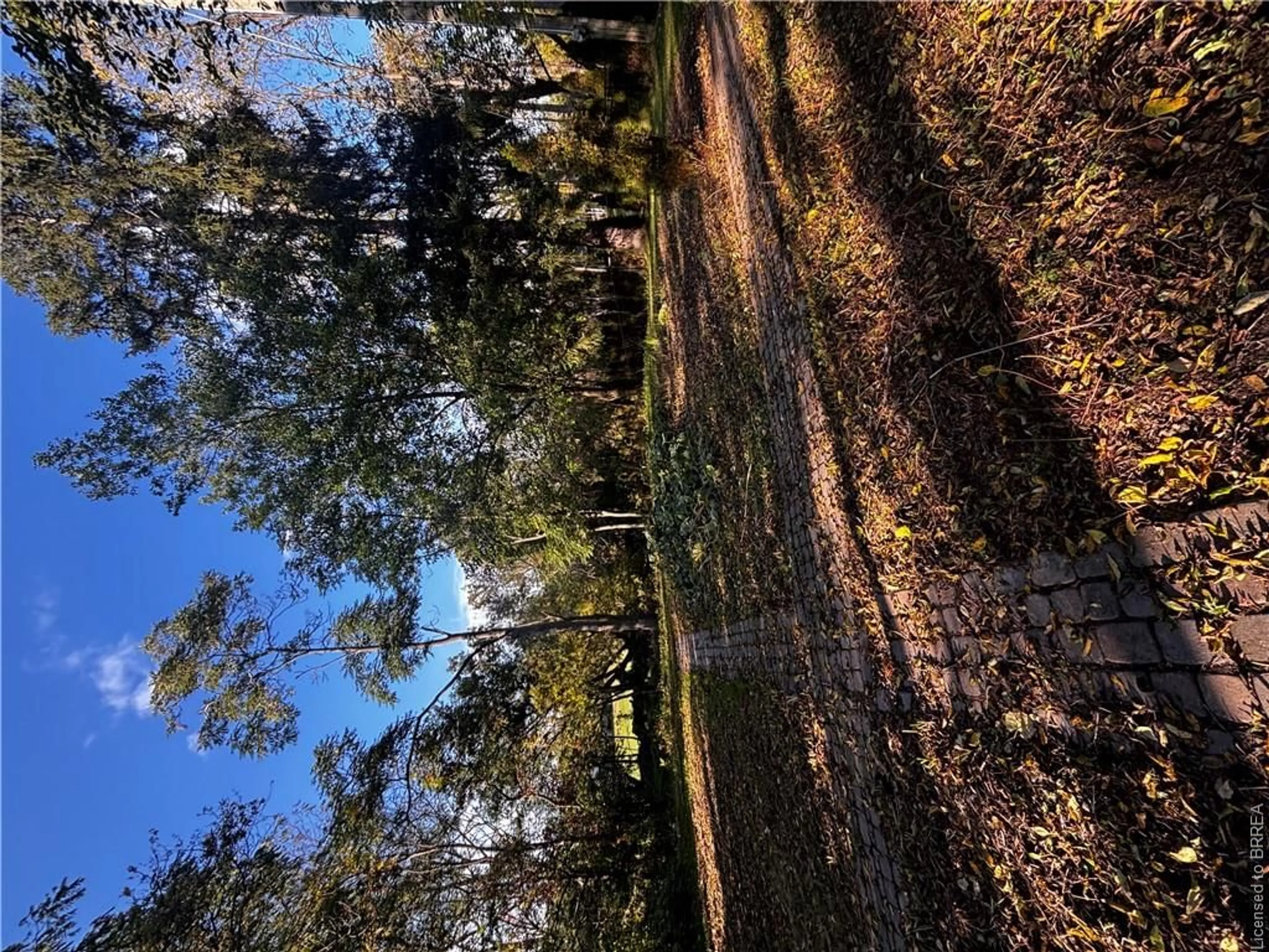 A pic from outside/outdoor area/front of a property/back of a property/a pic from drone, forest/trees view for 573 Mount Pleasant Rd, Mount Pleasant Ontario N3T 5L5