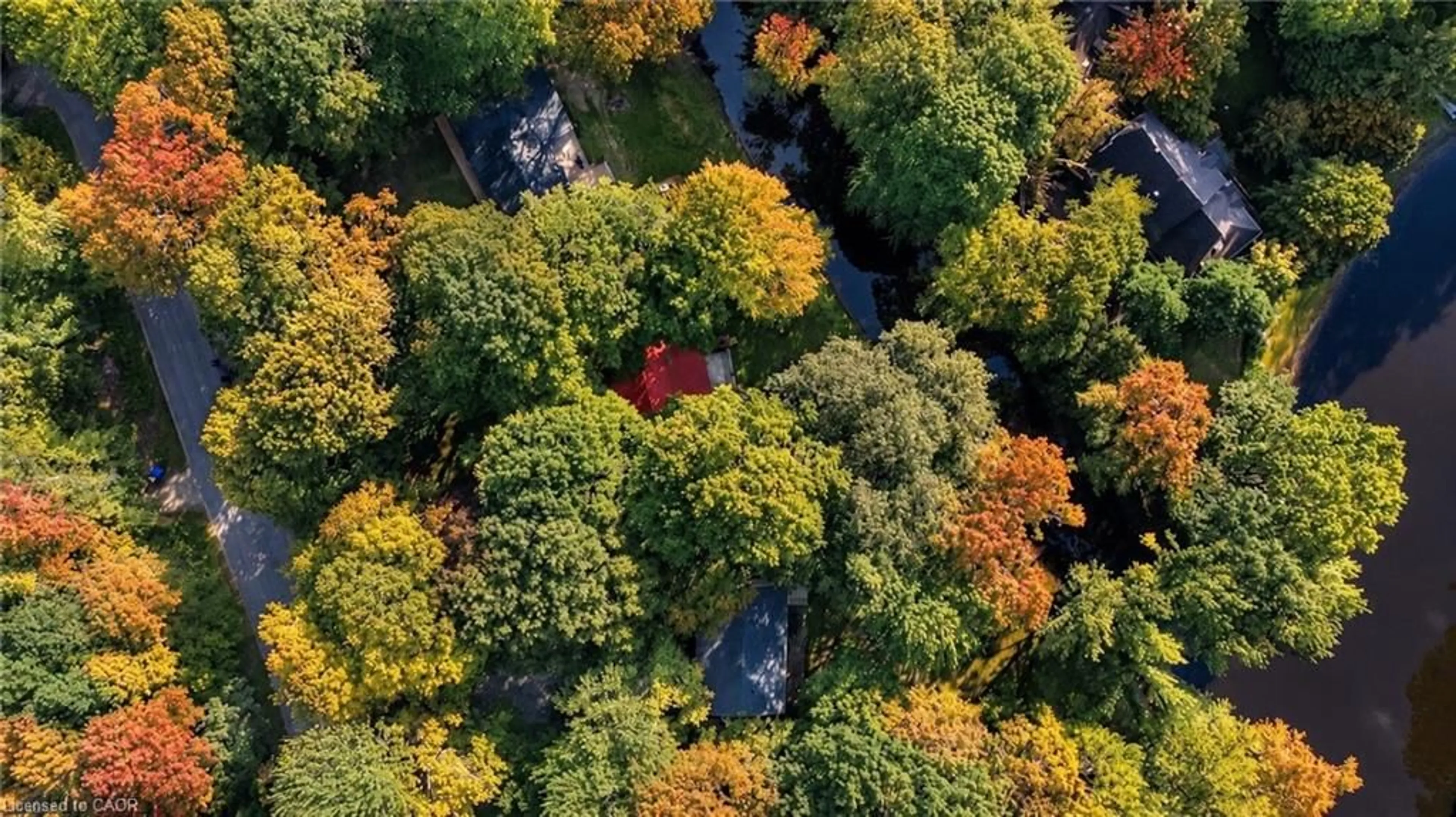 A pic from outside/outdoor area/front of a property/back of a property/a pic from drone, forest/trees view for 7465 East River Rd, Washago Ontario L0K 2B0