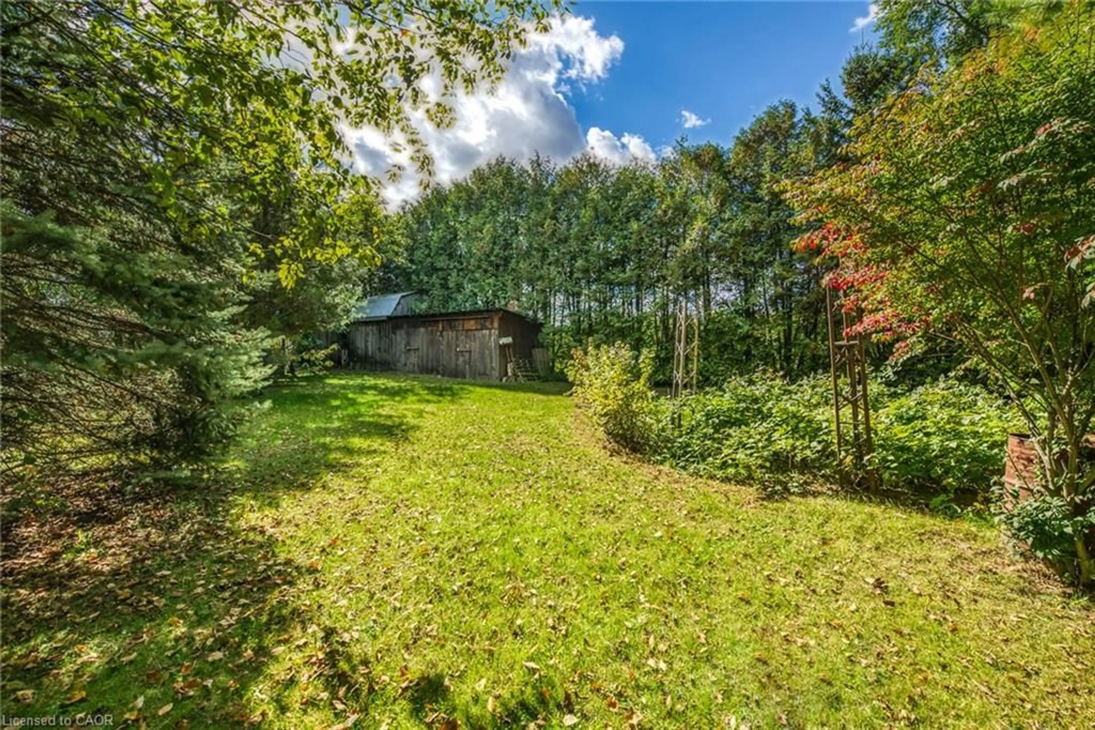 A pic from outside/outdoor area/front of a property/back of a property/a pic from drone, forest/trees view for 1921 Old Highway 24, Wilsonville Ontario N0E 1Z0