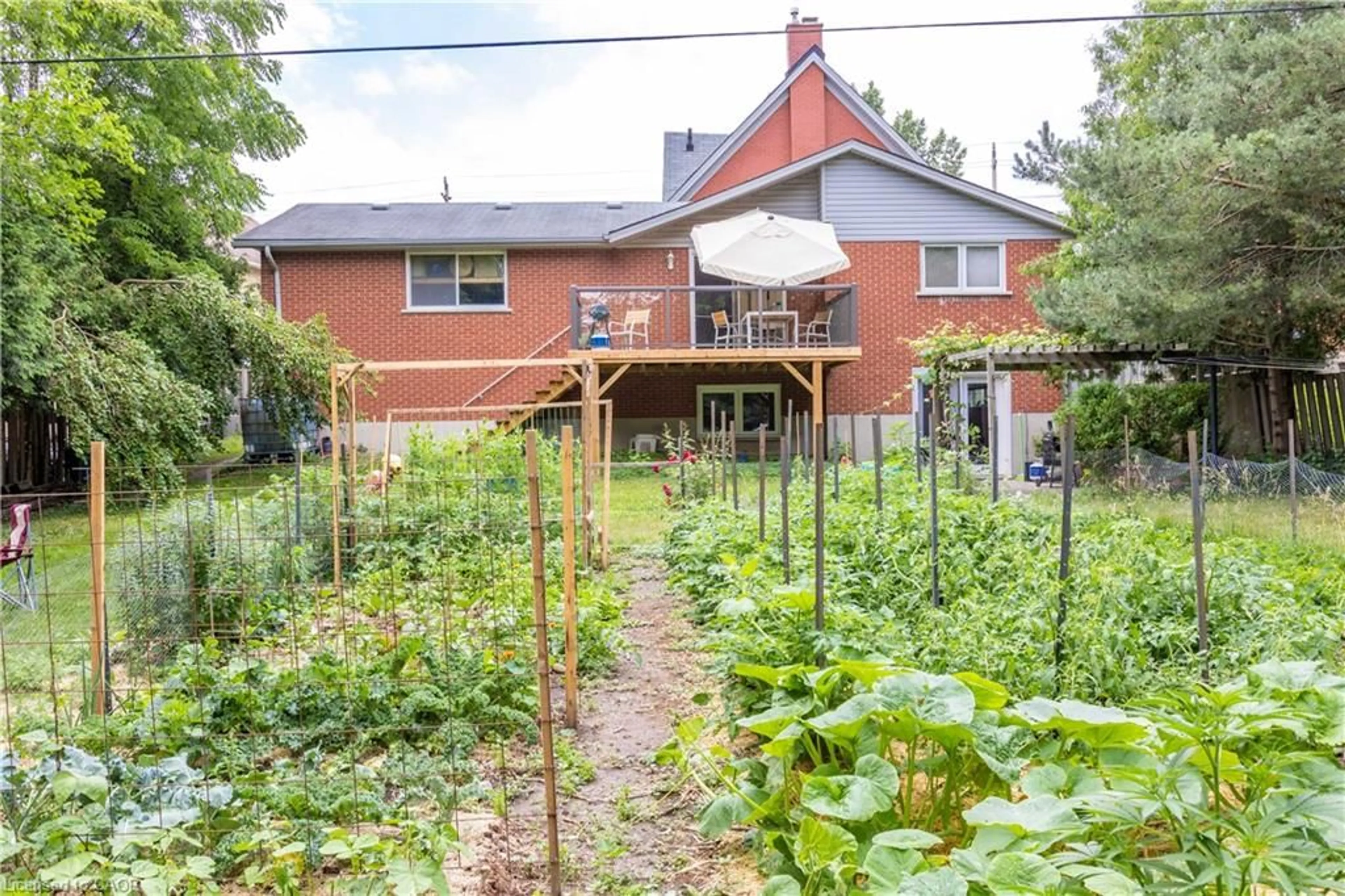 Patio, street for 118 Strange St, Kitchener Ontario N2G 1R3