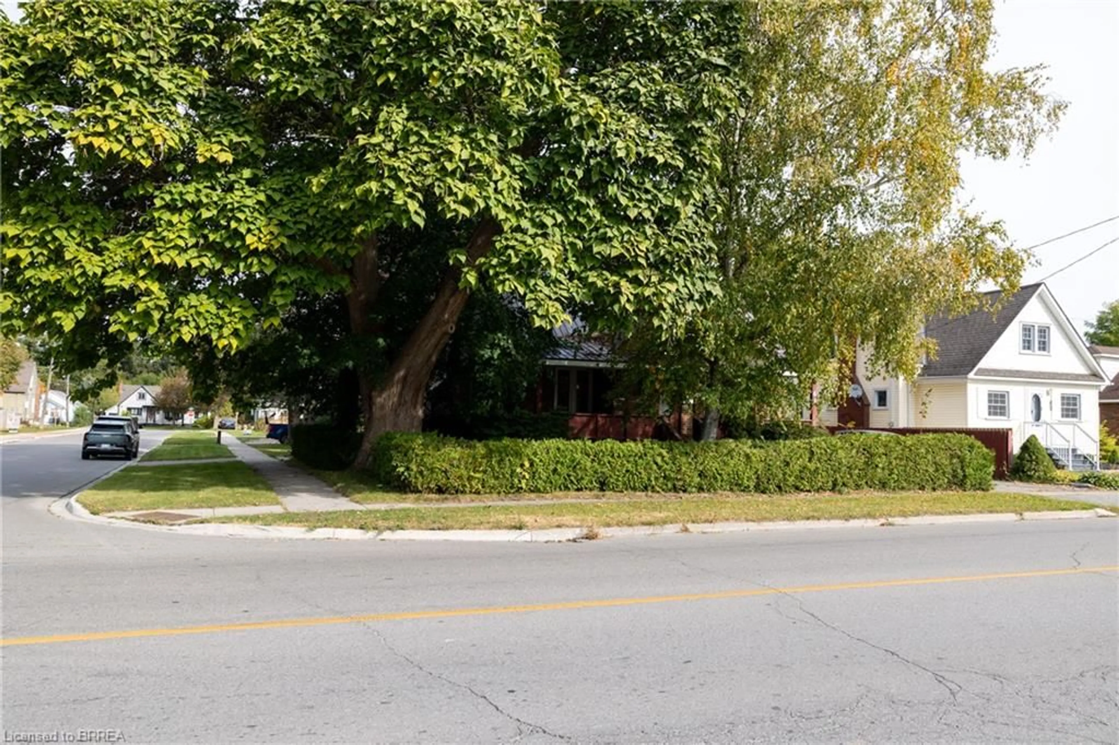 Patio, street for 41 Church St, Delhi Ontario N4B 1T5