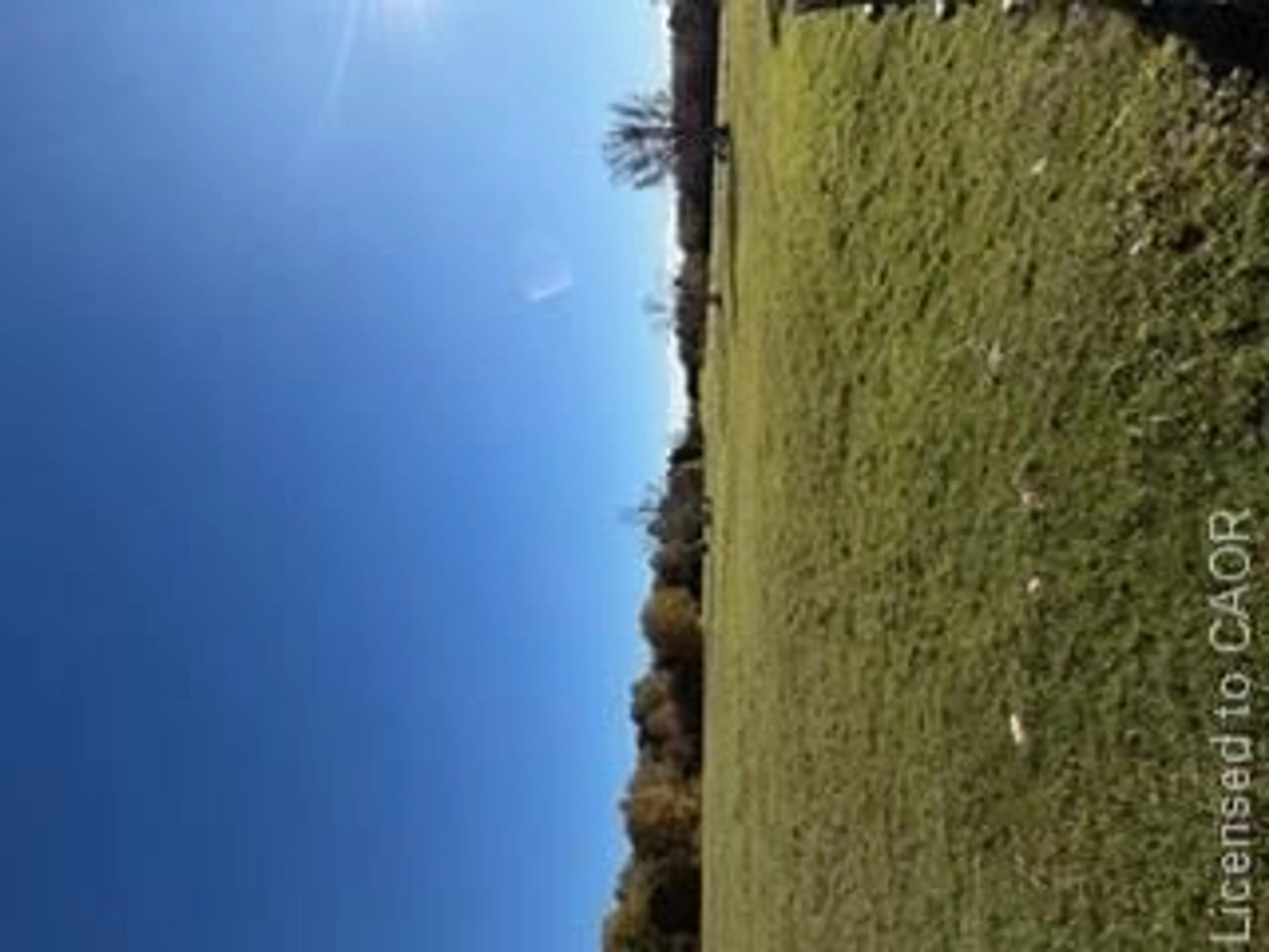A pic from outside/outdoor area/front of a property/back of a property/a pic from drone, forest/trees view for 502054 Grey Rd 1 Rd #999, Georgian Bluffs Ontario N0H 2T0