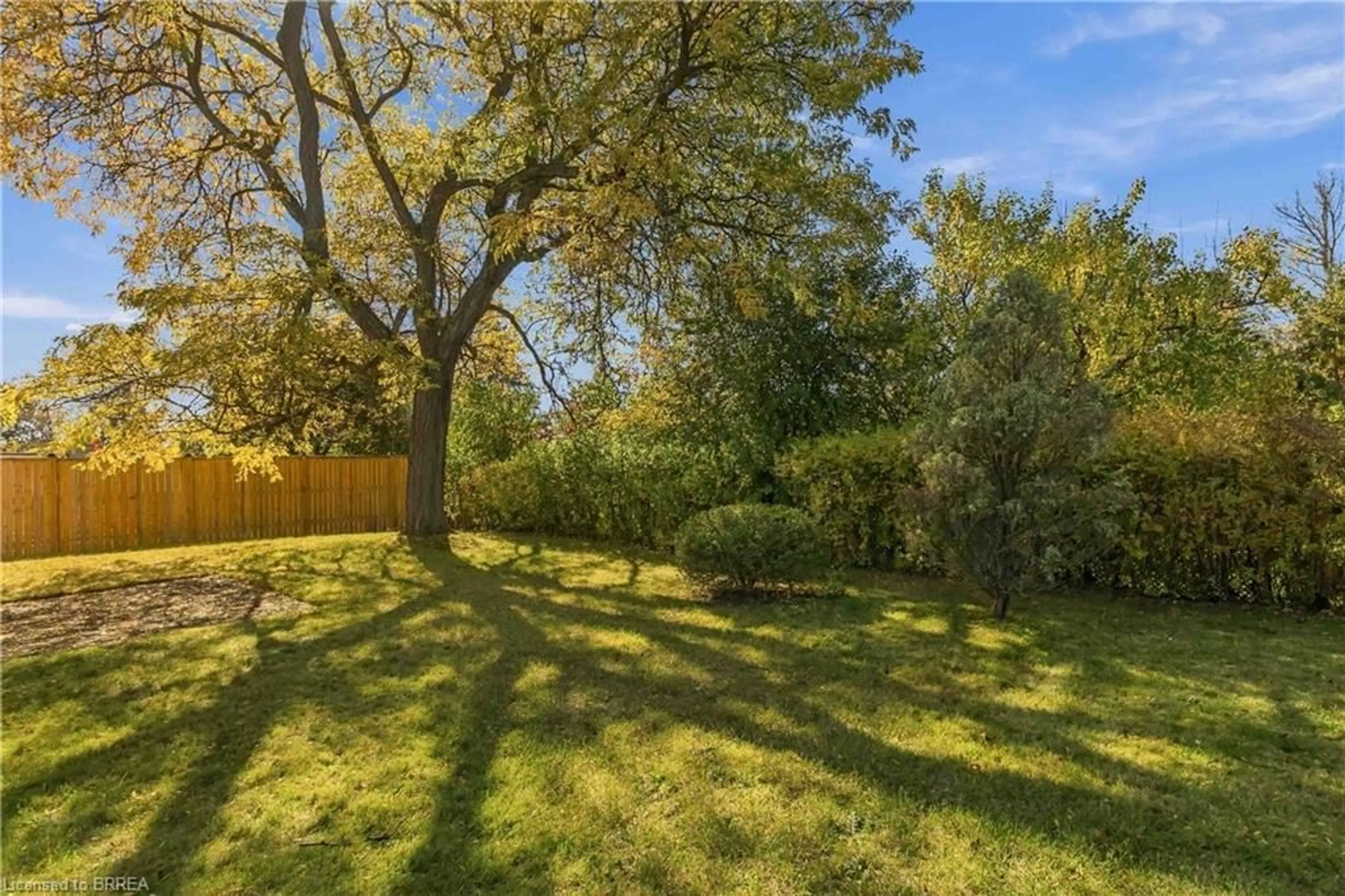 Patio, forest/trees view for 47 Evergreen Cres, Kitchener Ontario N2M 4J3