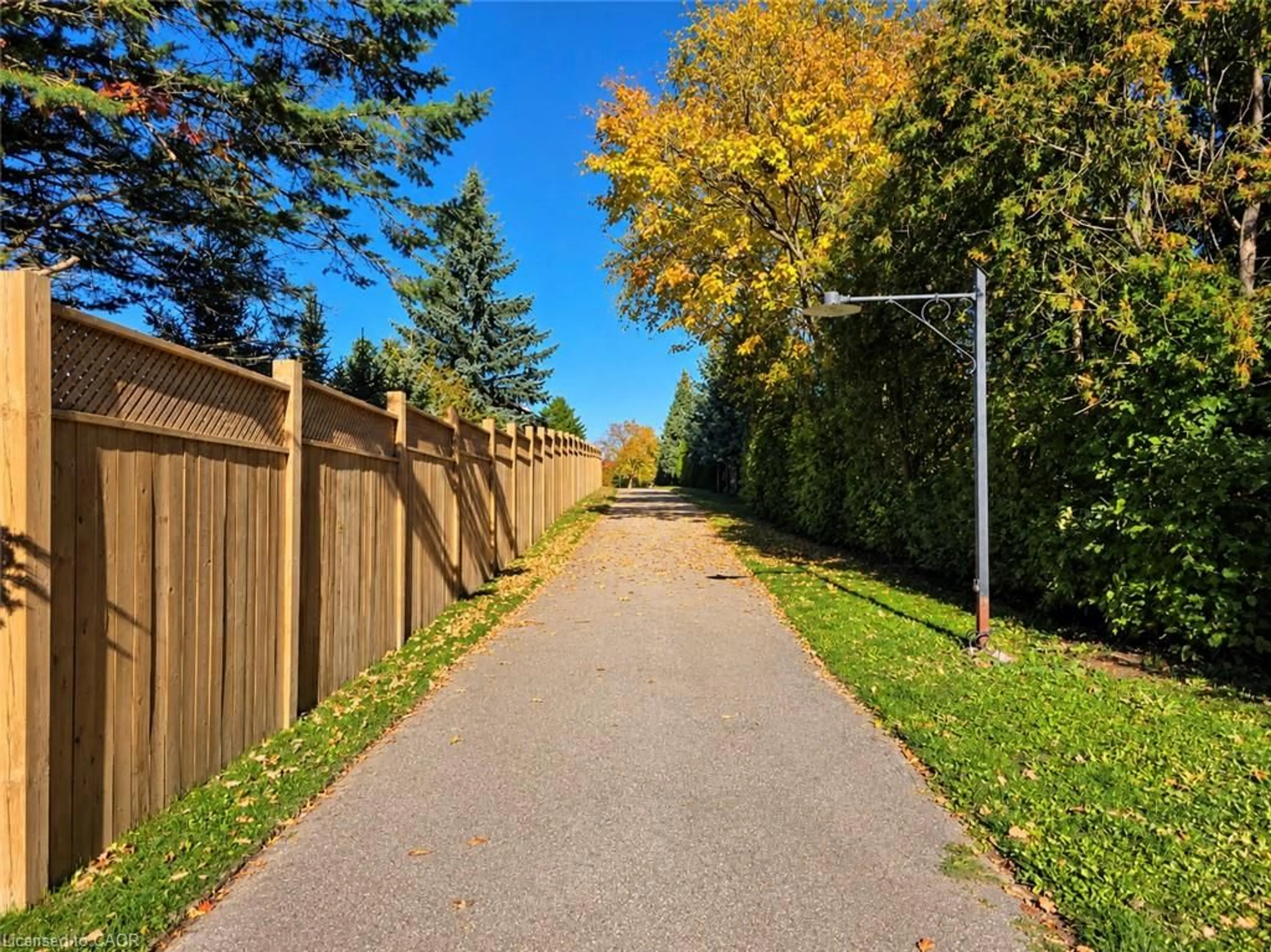 A pic from outside/outdoor area/front of a property/back of a property/a pic from drone, street for 9 Cecil Kennedy Crt, Petersburg Ontario N0B 2H0