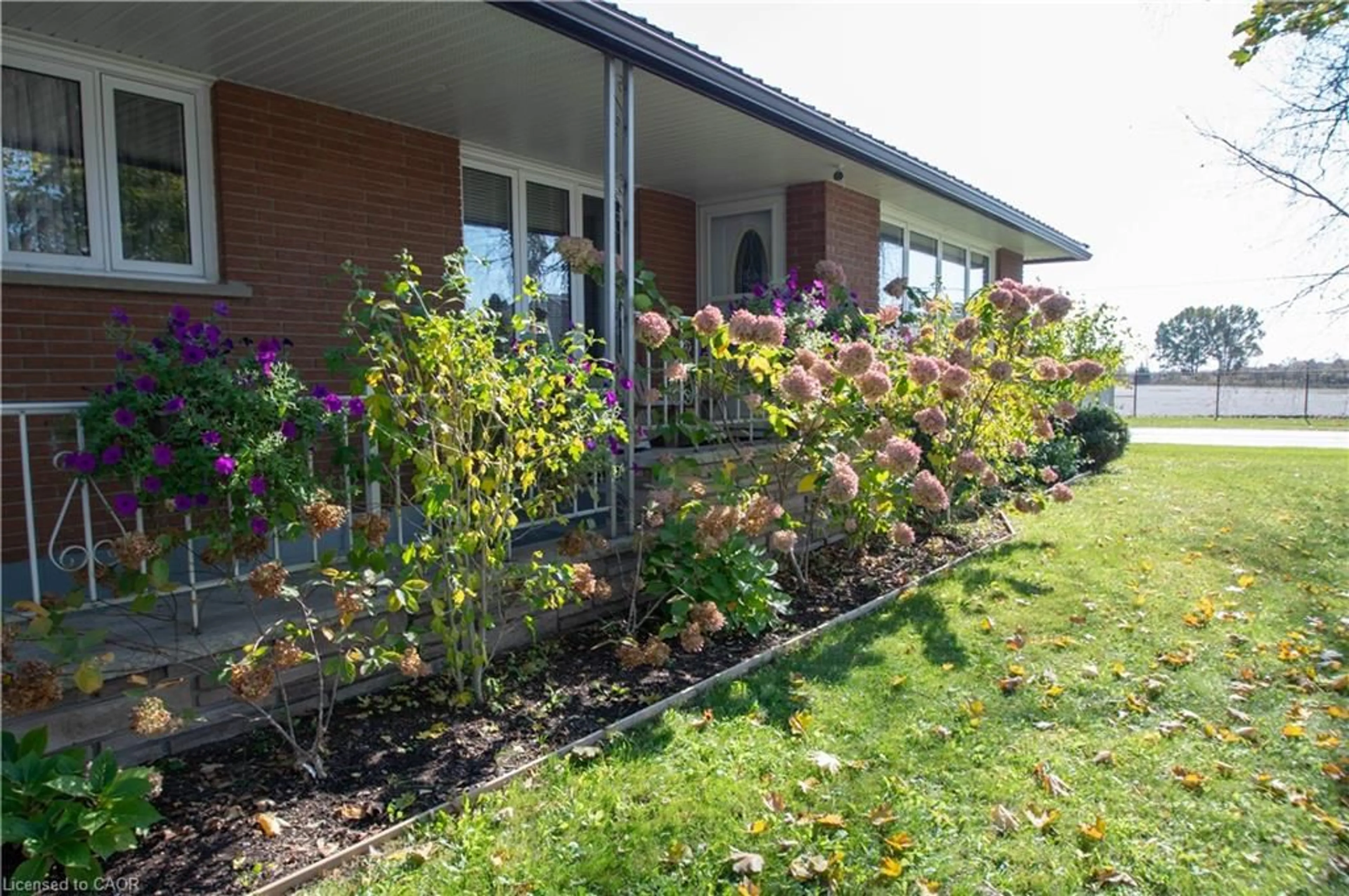 Patio, building for 477 Delcrest Ave, Delhi Ontario N4B 2T6