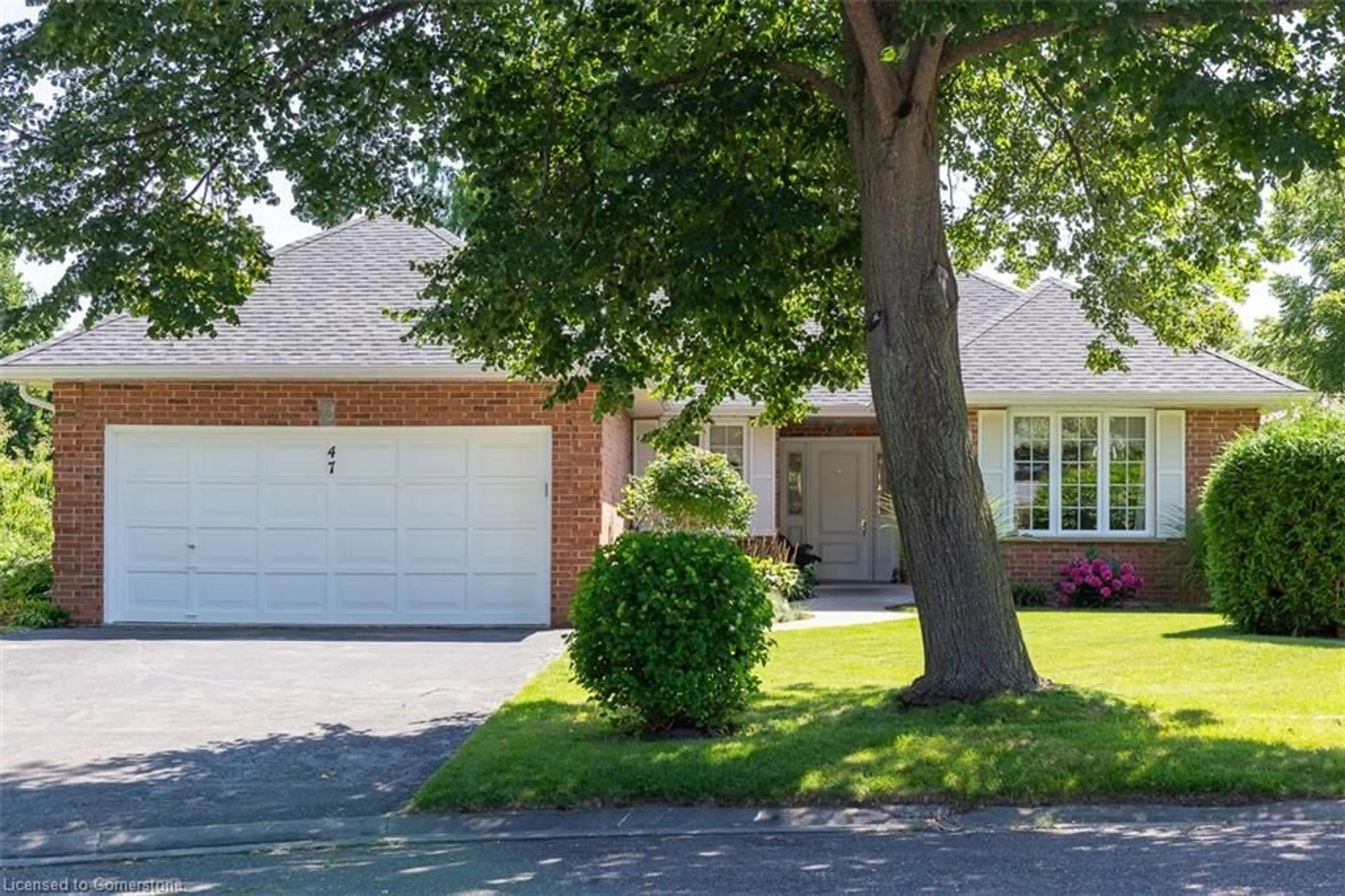 Frontside or backside of a home, the street view for 47 Winter Way, Brantford Ontario N3T 6G4