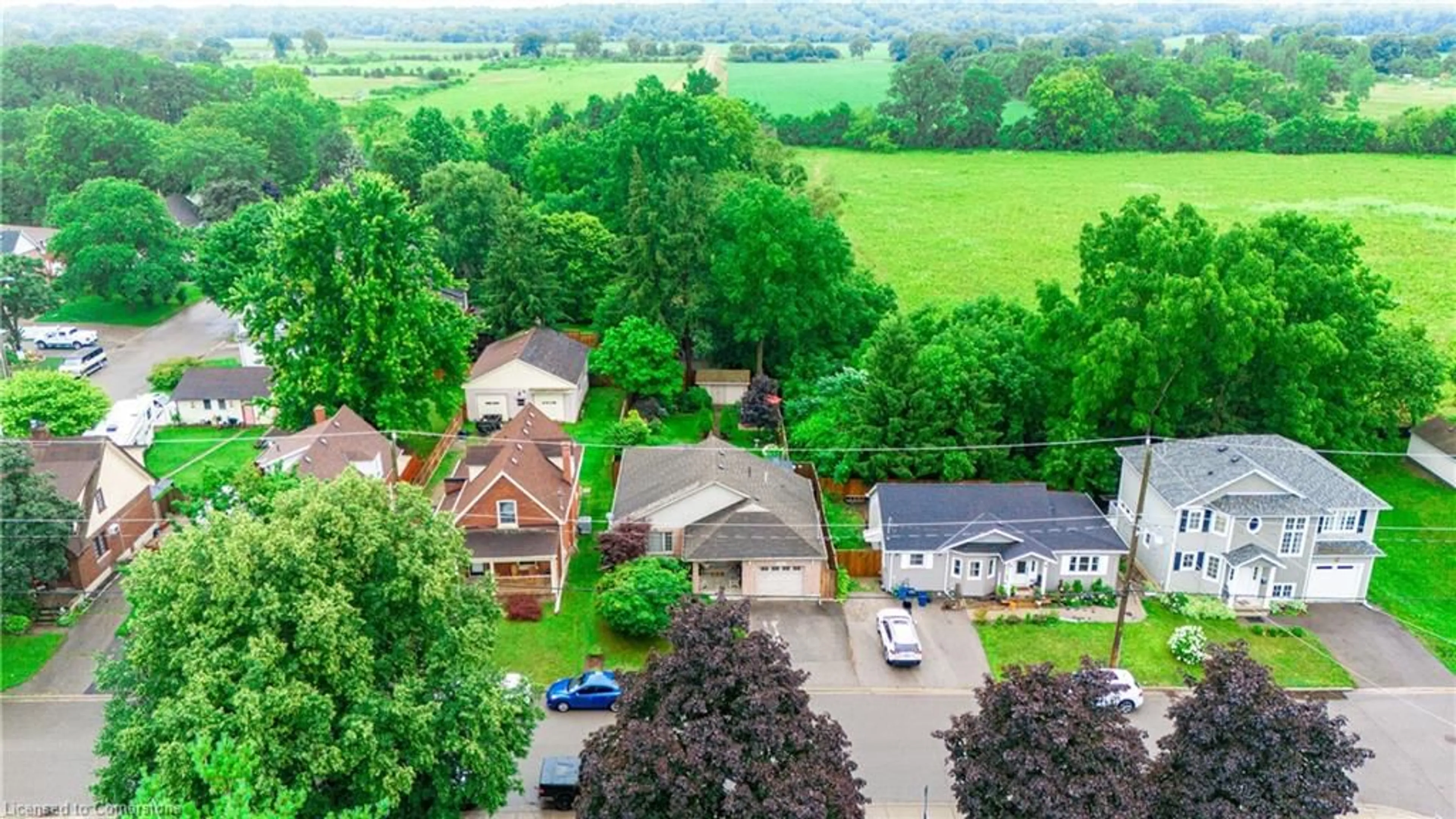 Frontside or backside of a home, the street view for 52 Baldwin Ave, Brantford Ontario N3S 1H7