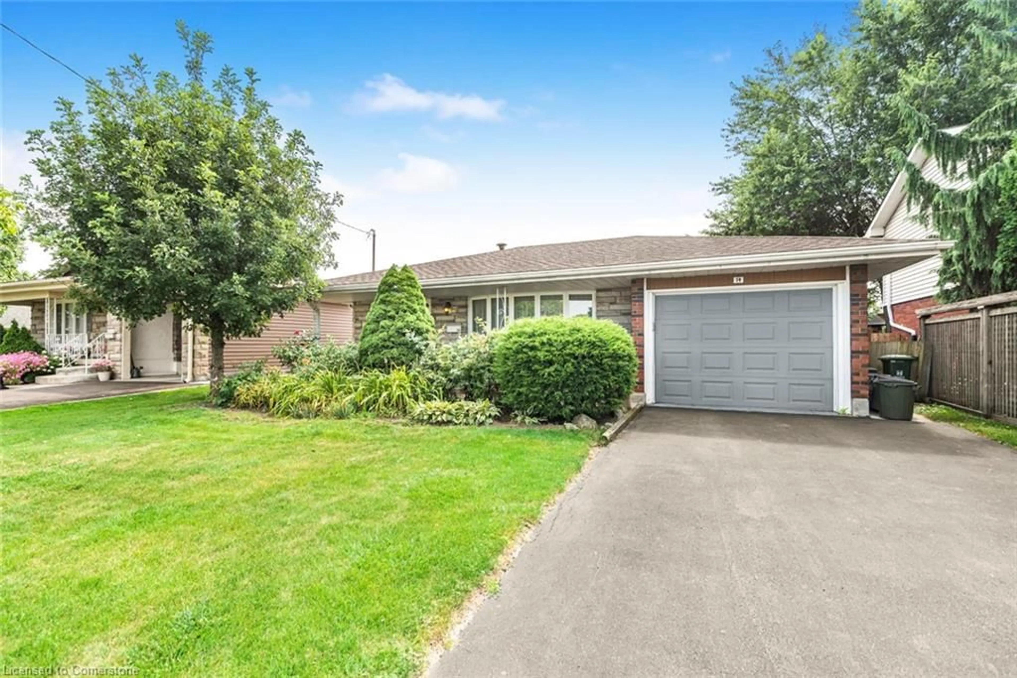 Frontside or backside of a home, the fenced backyard for 14 Calvert Ave, Hamilton Ontario L8G 2K4