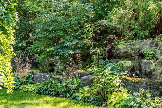 Additional property image - 858 Montgomery Dr