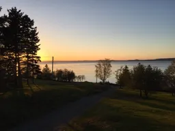 history photo preview