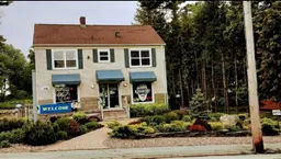 history photo preview