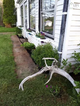 history photo preview