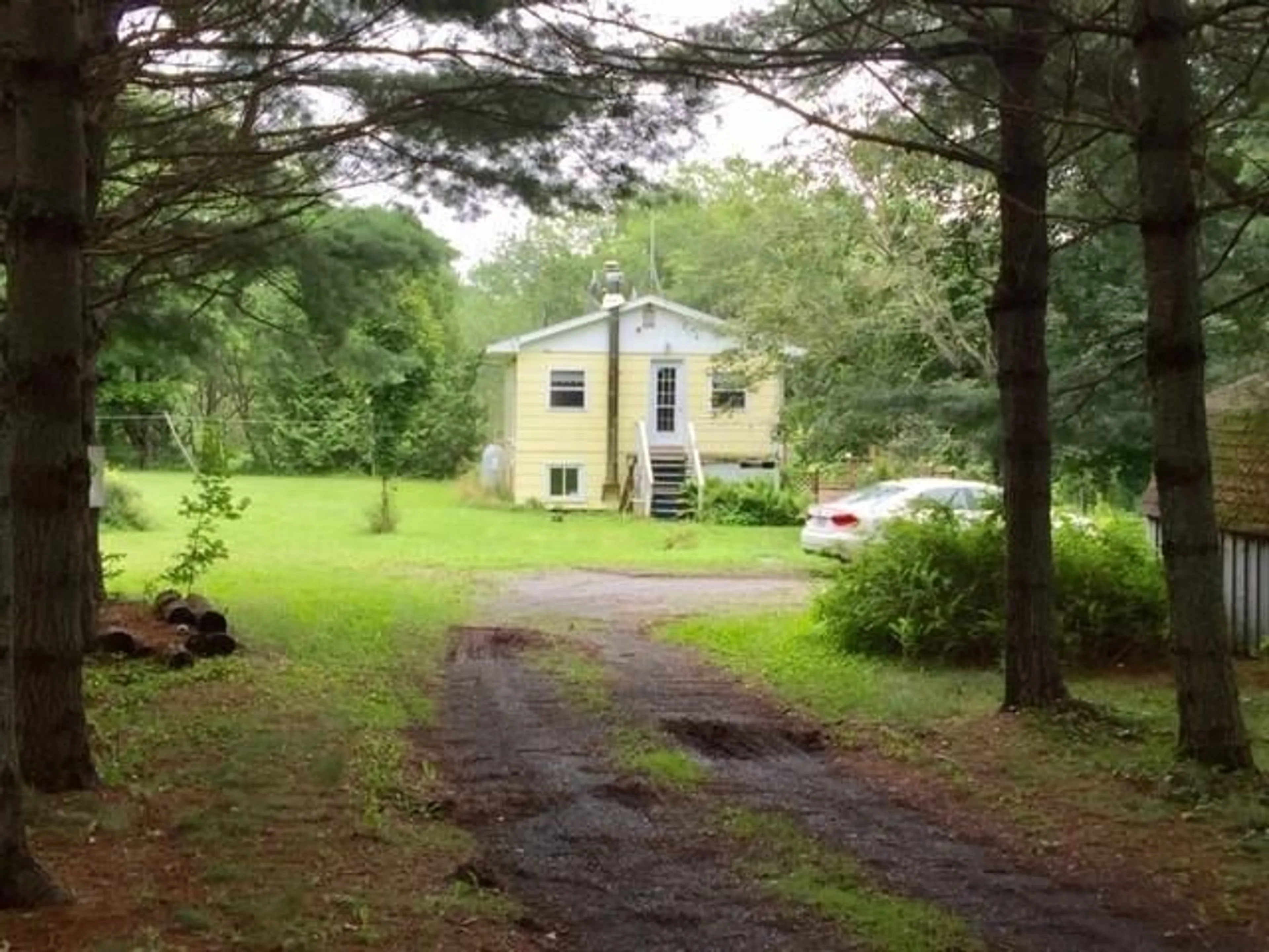 nsar/IMG-202316794_1.jpg