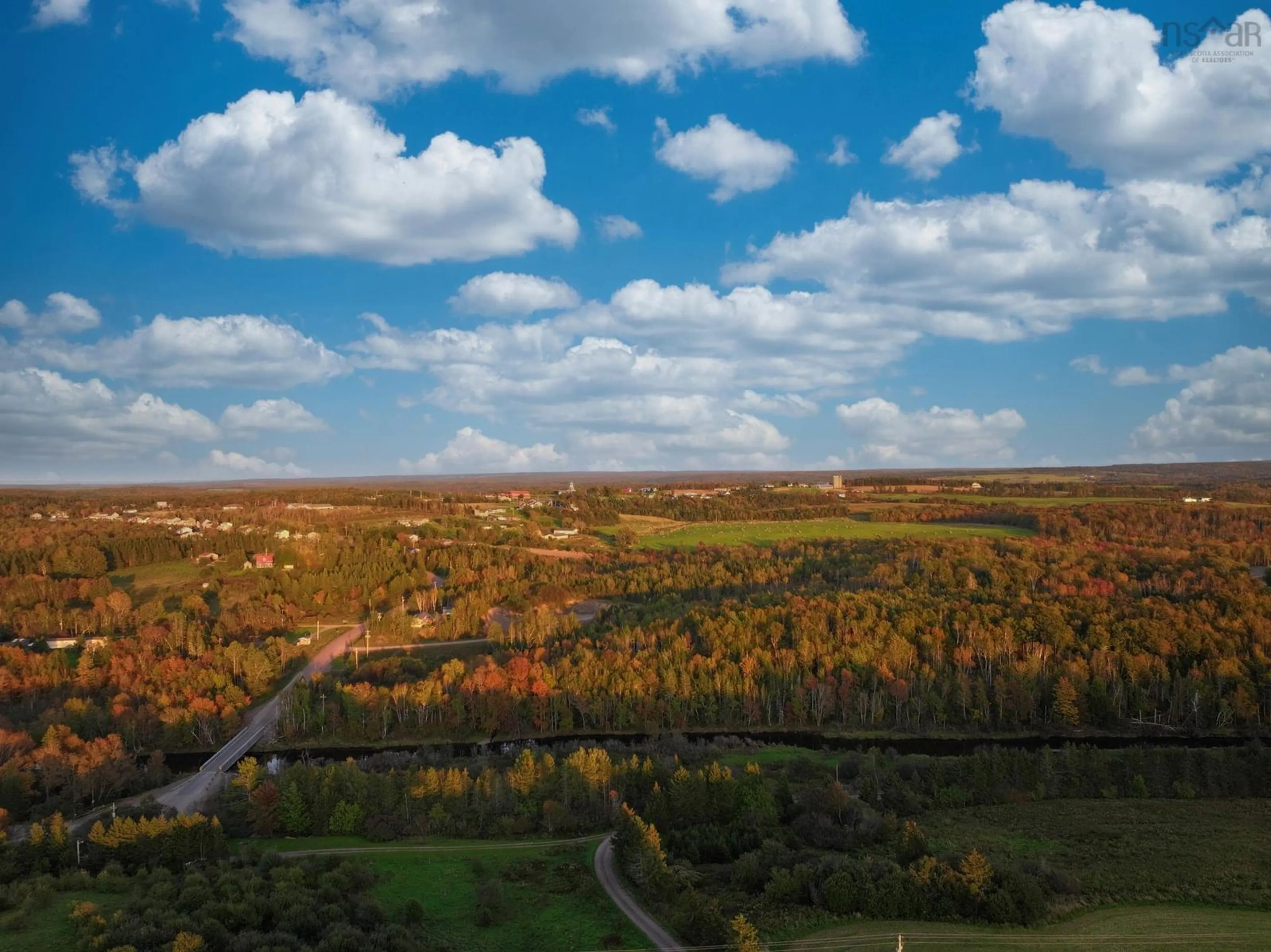 Forest view for 4303 Dunmore Rd, St Andrew's Nova Scotia B0H 1X0