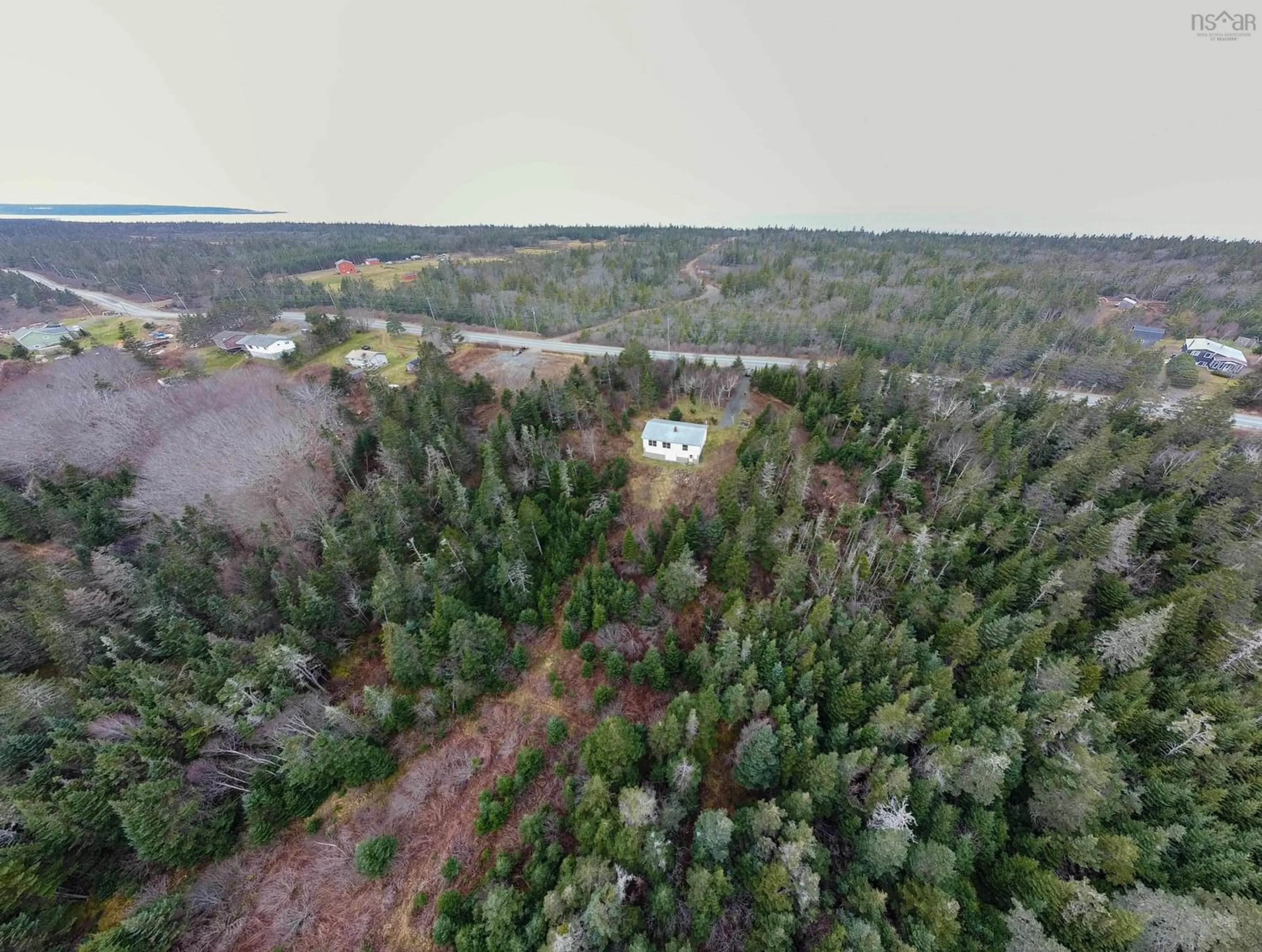 Forest view for 972 Highway 217, Freeport Nova Scotia B0V 1G0