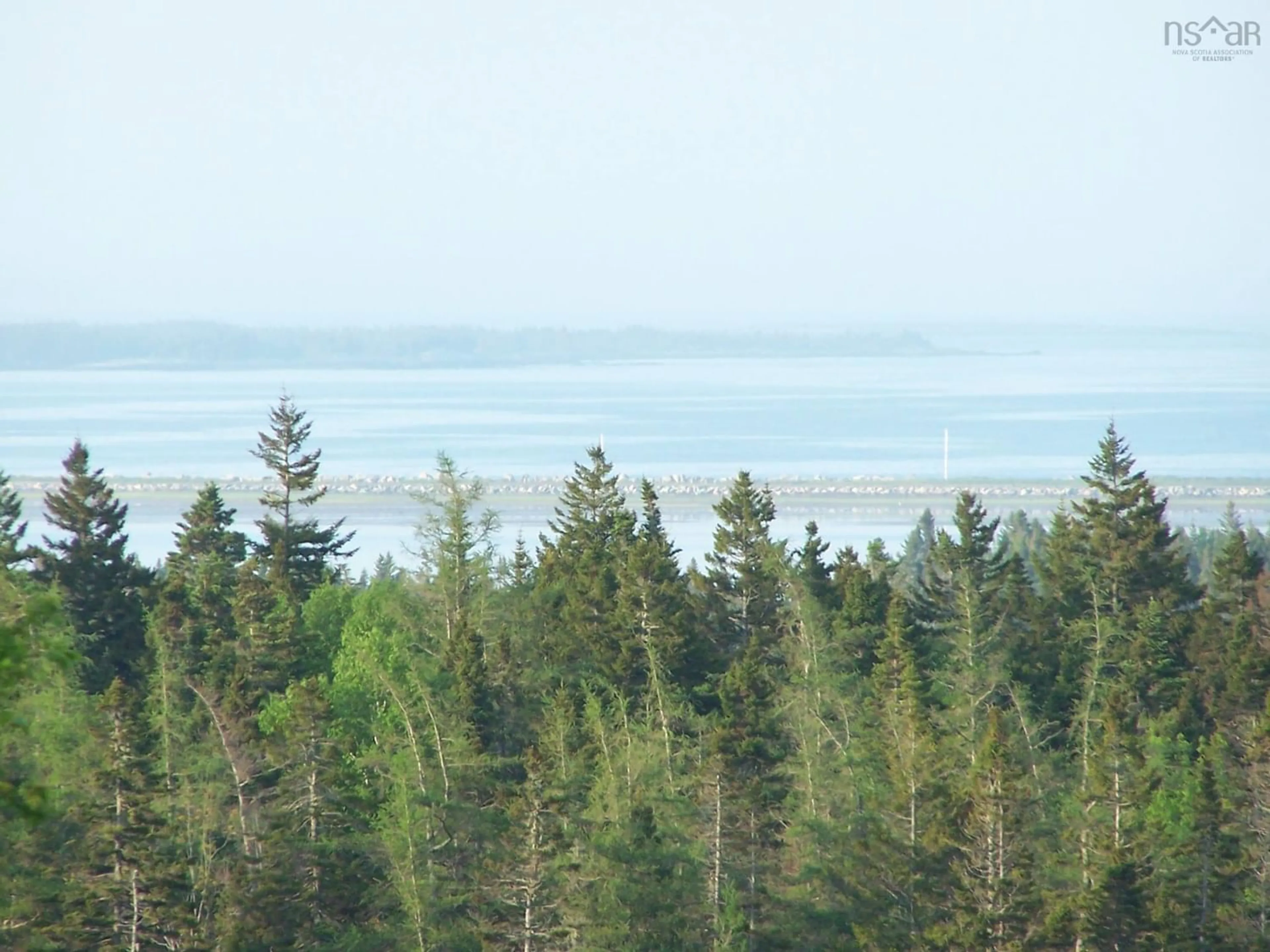 Forest view for 32 Massie Rd, West Dublin Nova Scotia B0R 1C0
