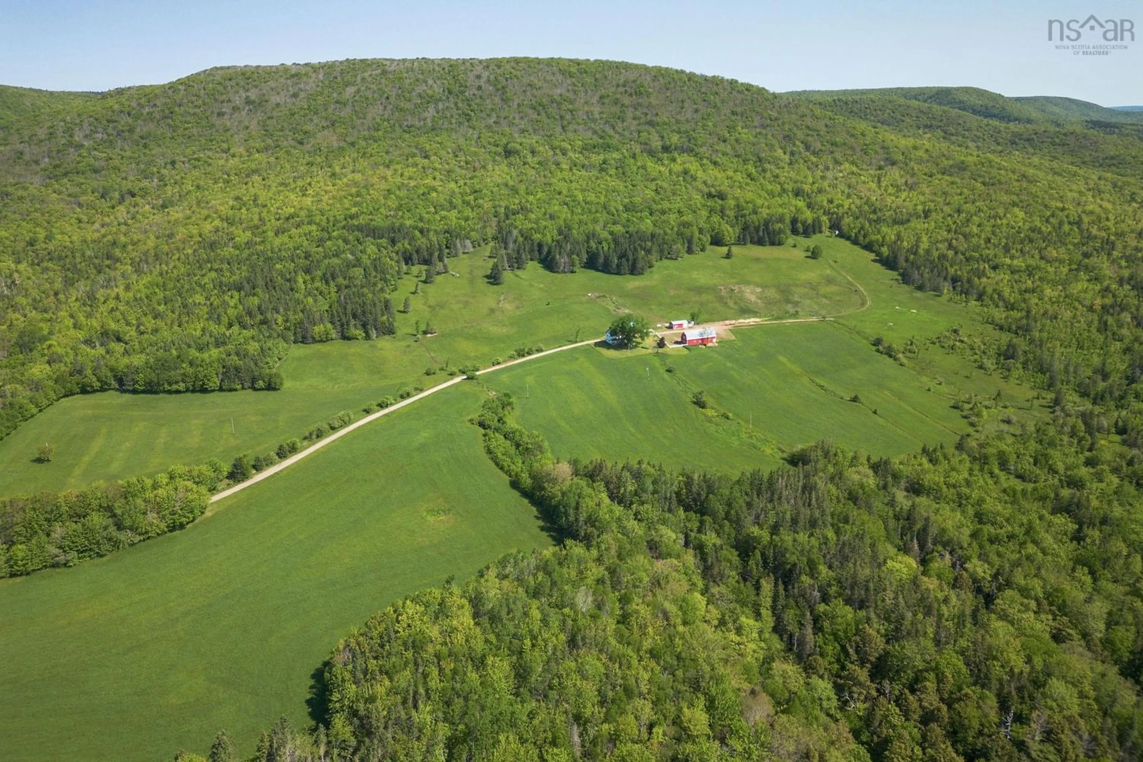 Forest view for 380 Northeast Mabou Rd, Mabou Nova Scotia B0E 1X0