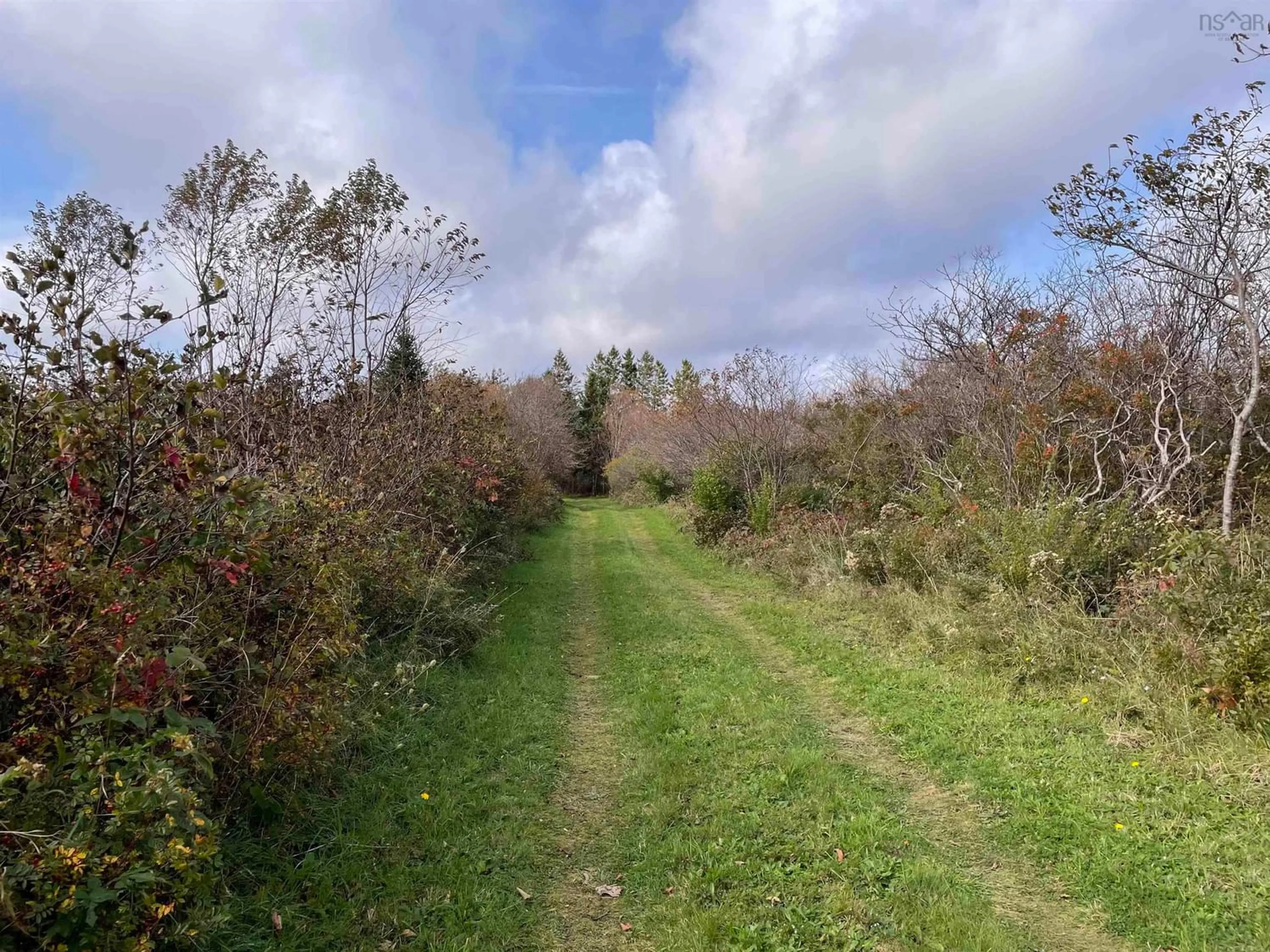 Forest view for 1792 Highway 308, Sluice Point Nova Scotia B0W 3P0