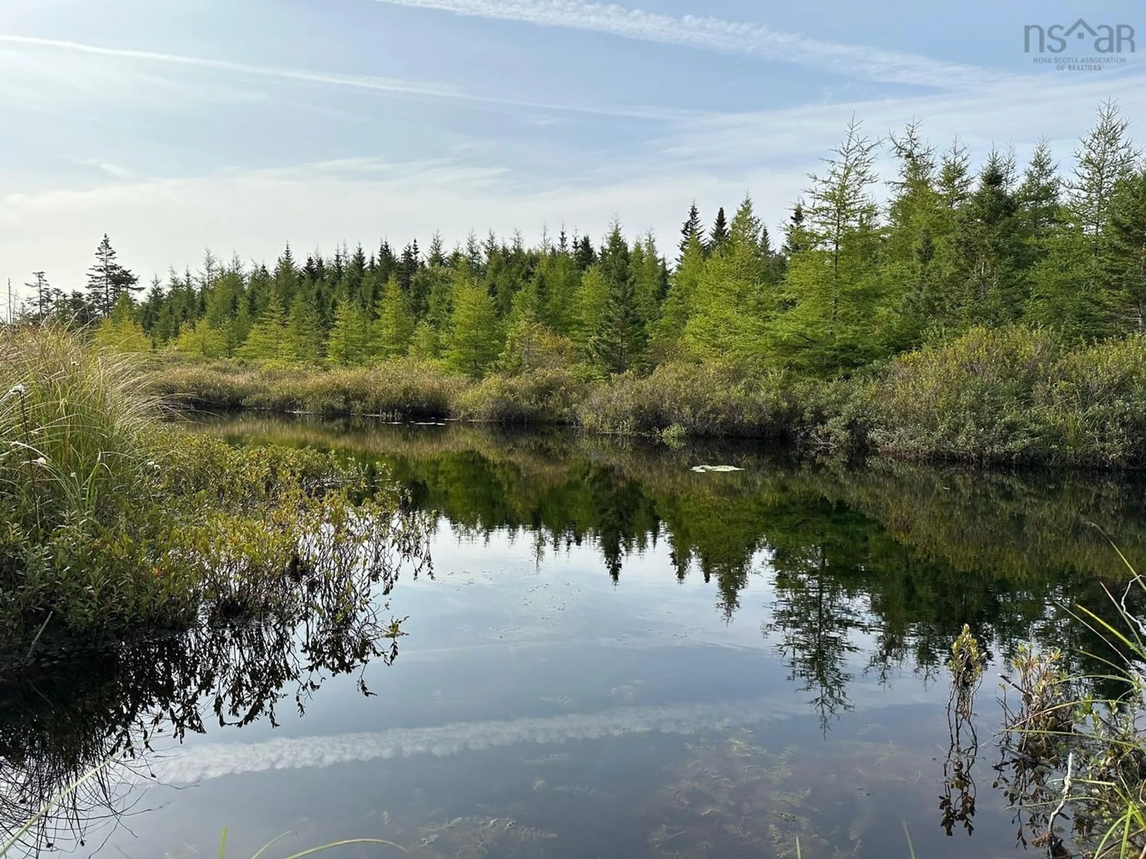 Forest view for 3421 Highway16, Upper Fox Island Nova Scotia B0H 1H0