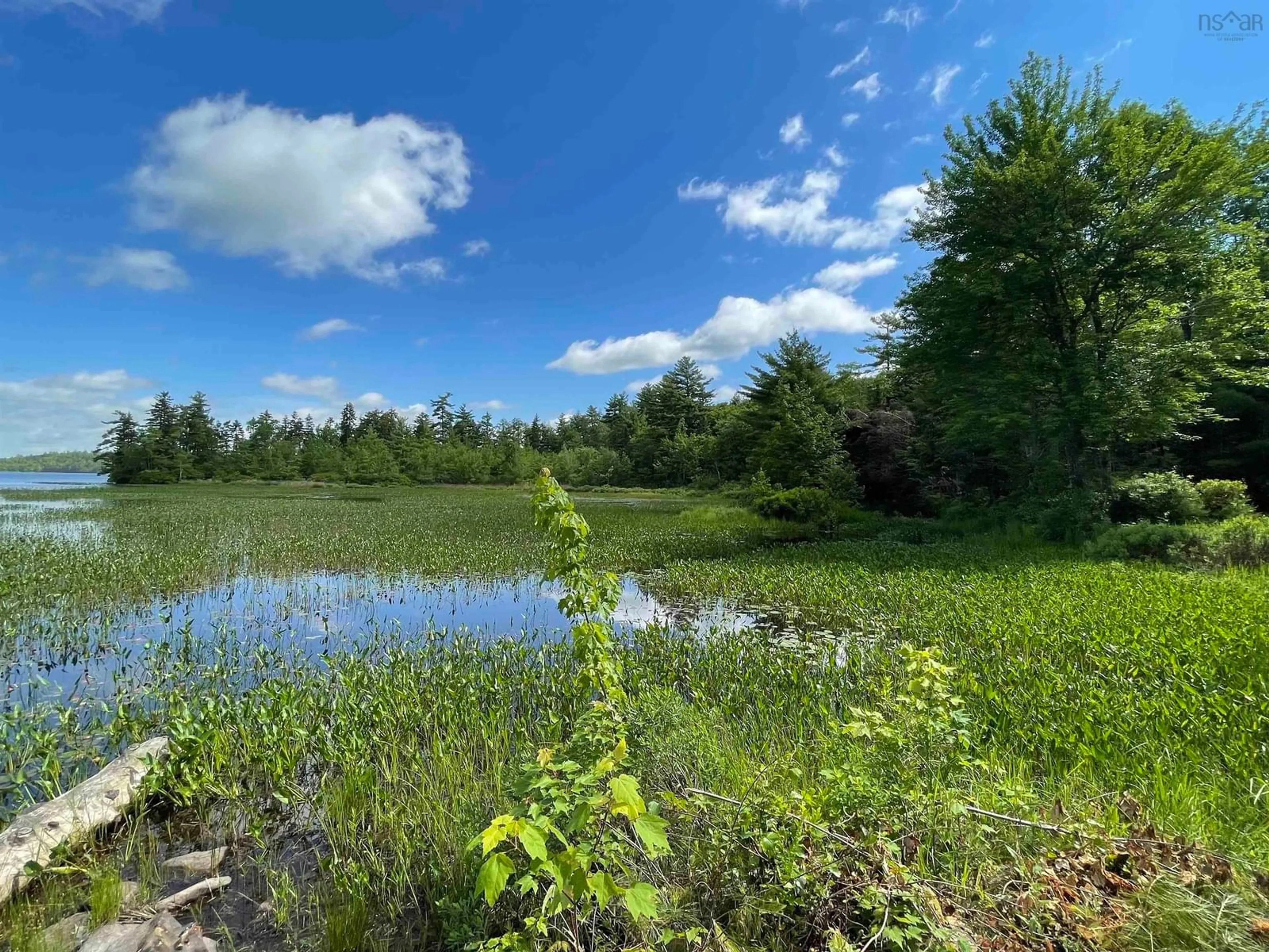 Forest view for 9 Silver Rd, North Brookfield Nova Scotia B0T 1X0