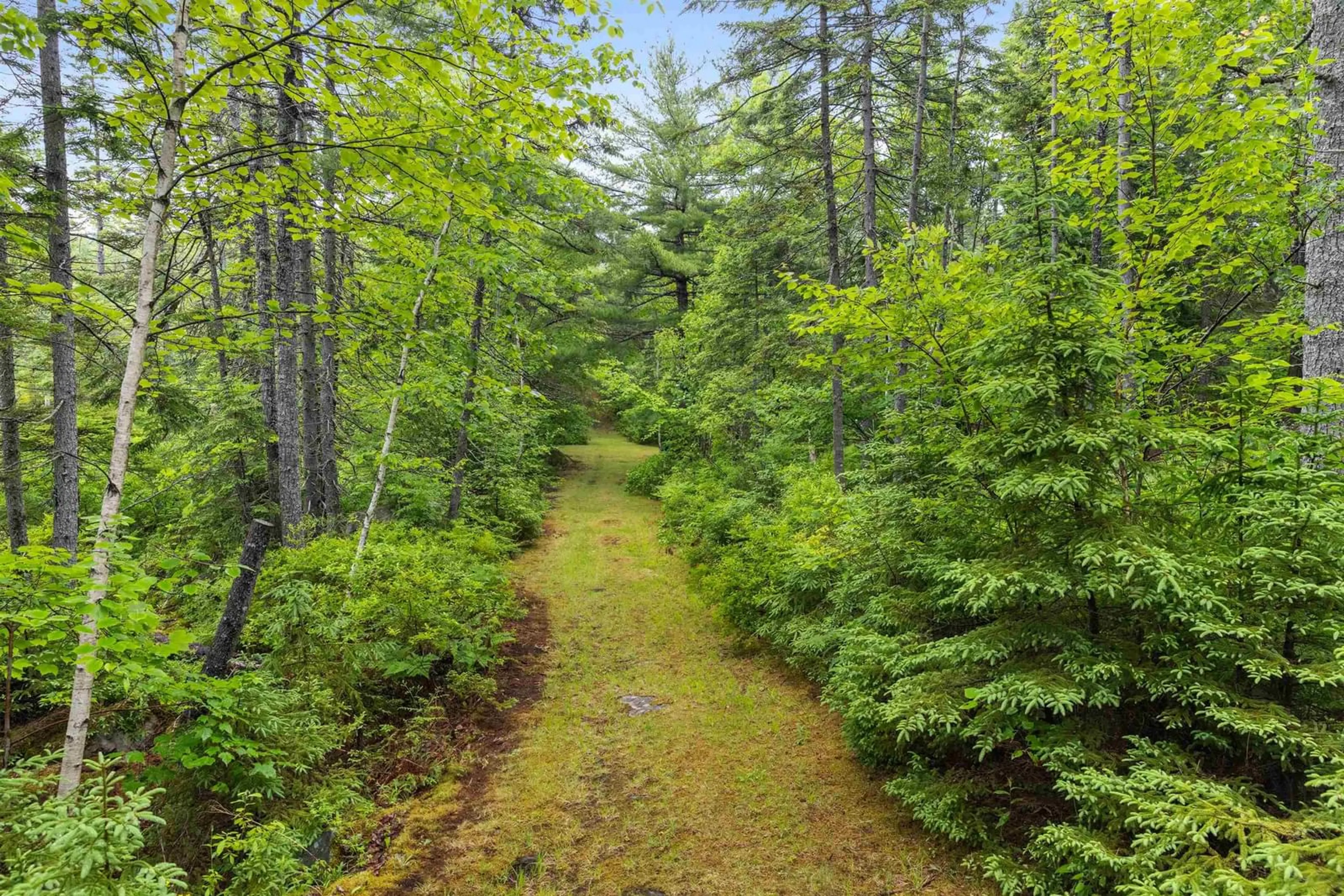 Patio, forest for 163 Third Ave, Lakeview Nova Scotia B4C 4C9