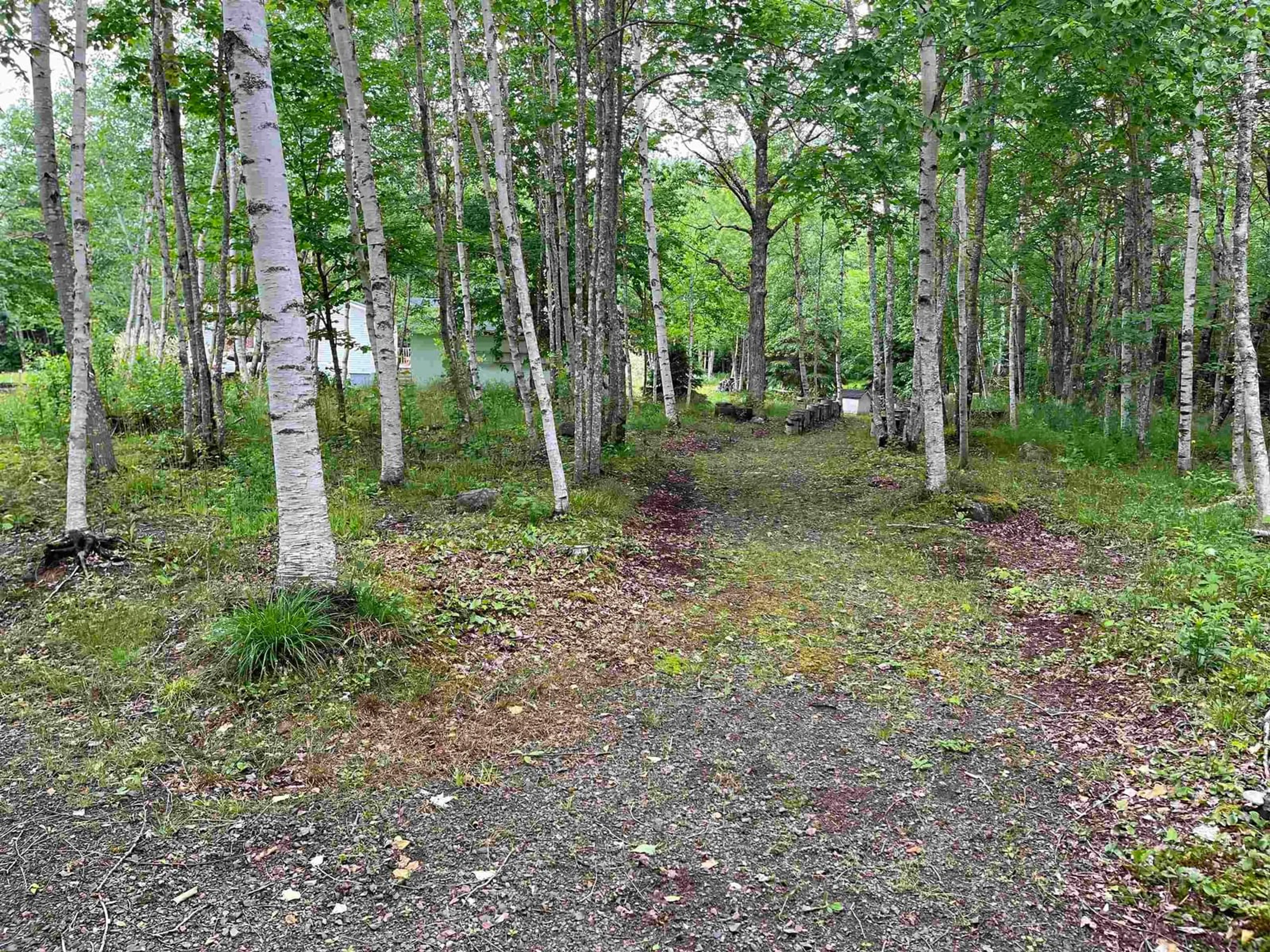 Forest view for 2547 Pleasant Valley Rd, Maryvale Nova Scotia B2G 2K9