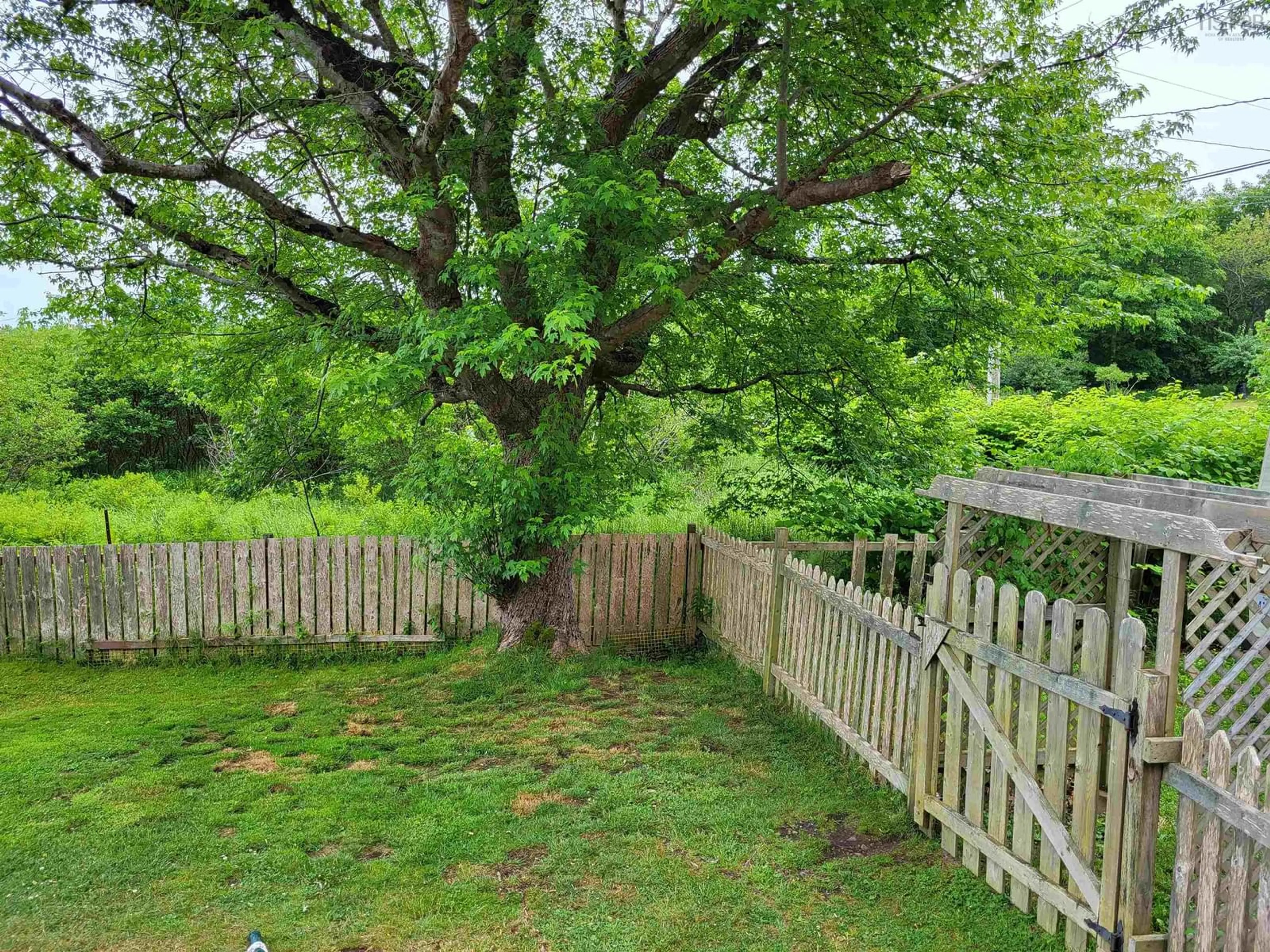 Fenced yard for 491 Port Latour Rd, Port Clyde Nova Scotia B0W 2S0