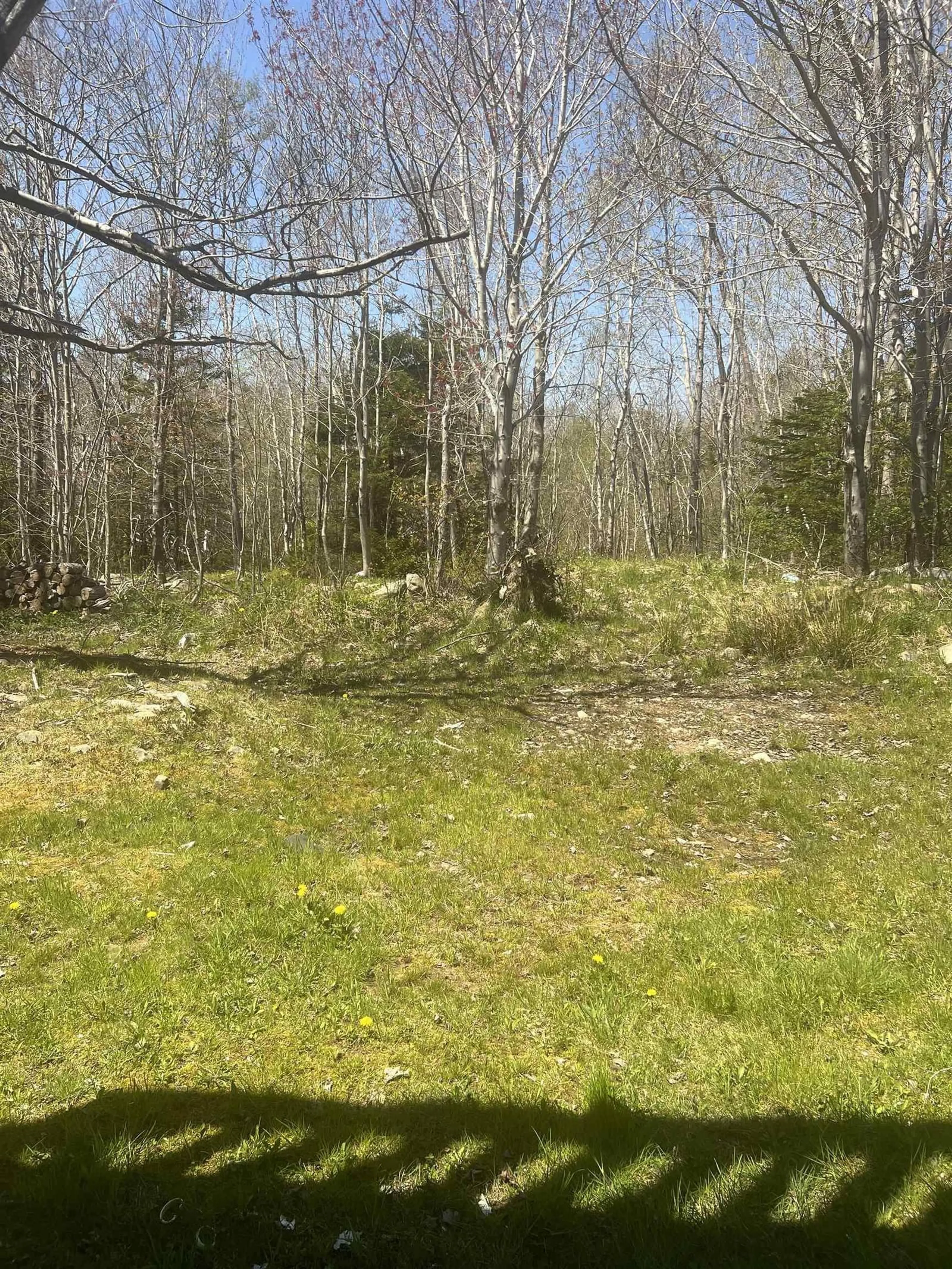 Forest view for 29 Waynewood Dr, Dartmouth Nova Scotia B2W 1G1