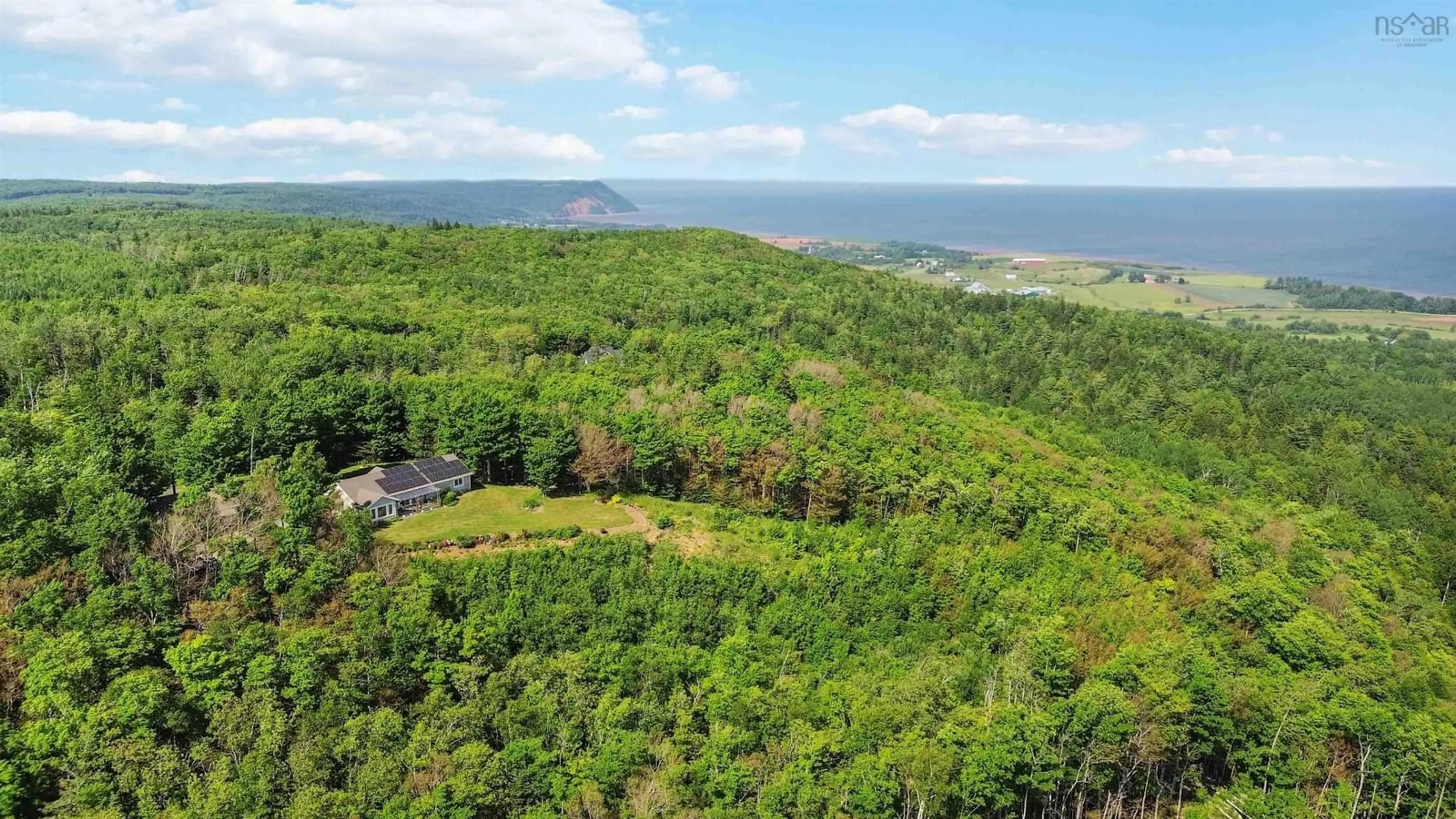 Forest view for 3742 Highway 358, Scots Bay Nova Scotia B0P 1H0