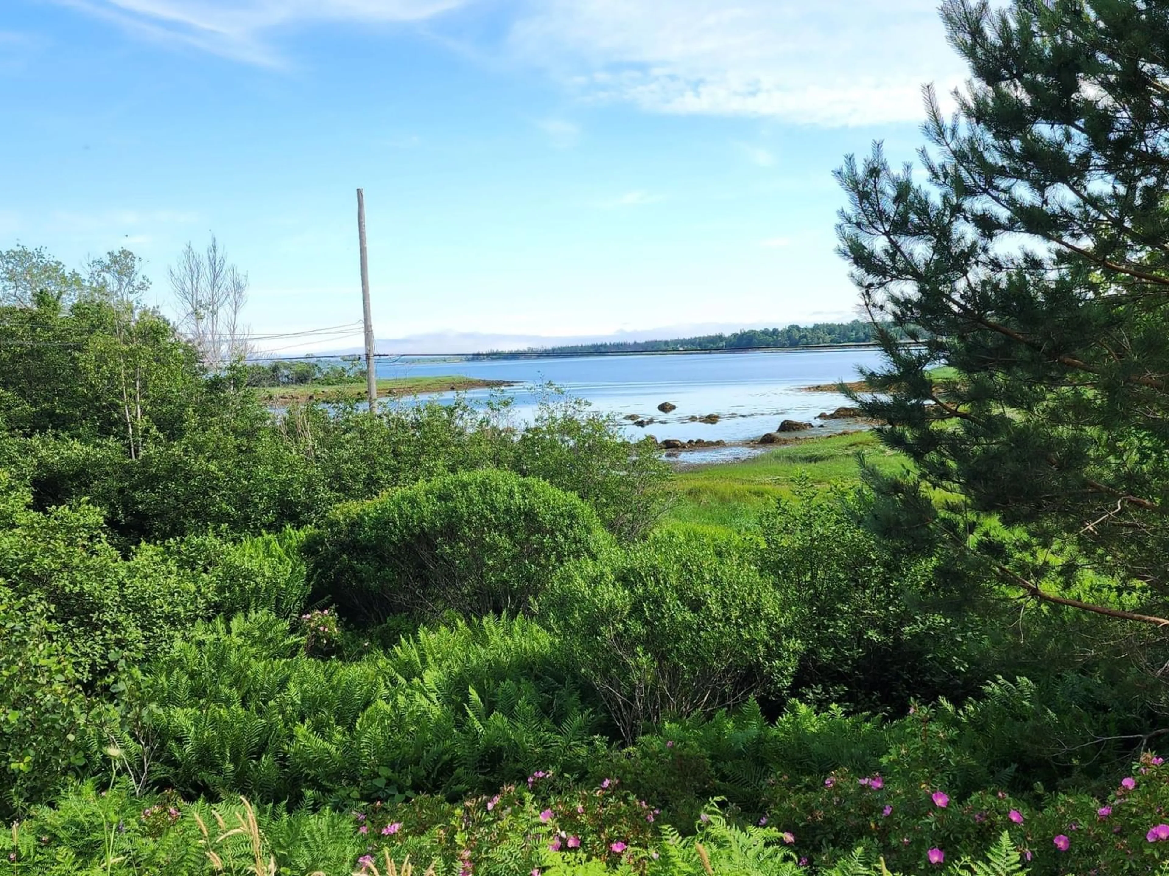 A pic from exterior of the house or condo, the view of lake or river for 6998 Shore Rd, Port Saxon Nova Scotia B0T 1W0