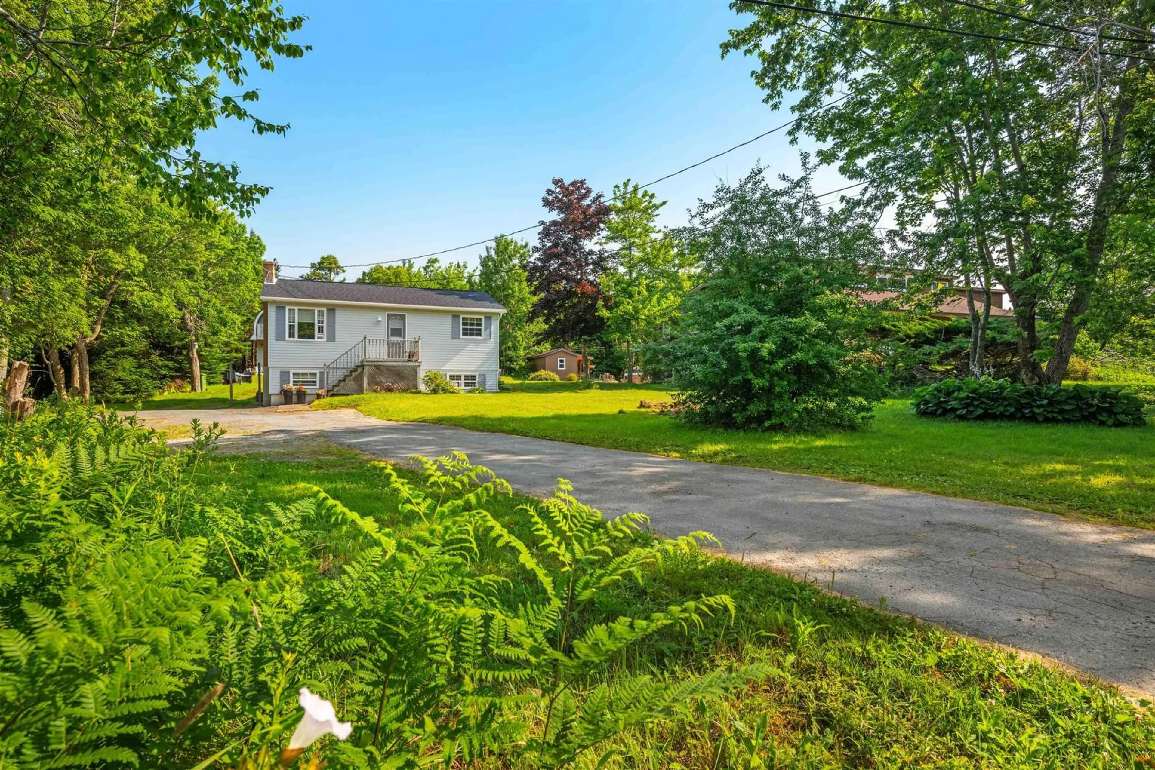 Fenced yard for 3243 Lawrencetown Rd, Lawrencetown Nova Scotia B2Z 1R6