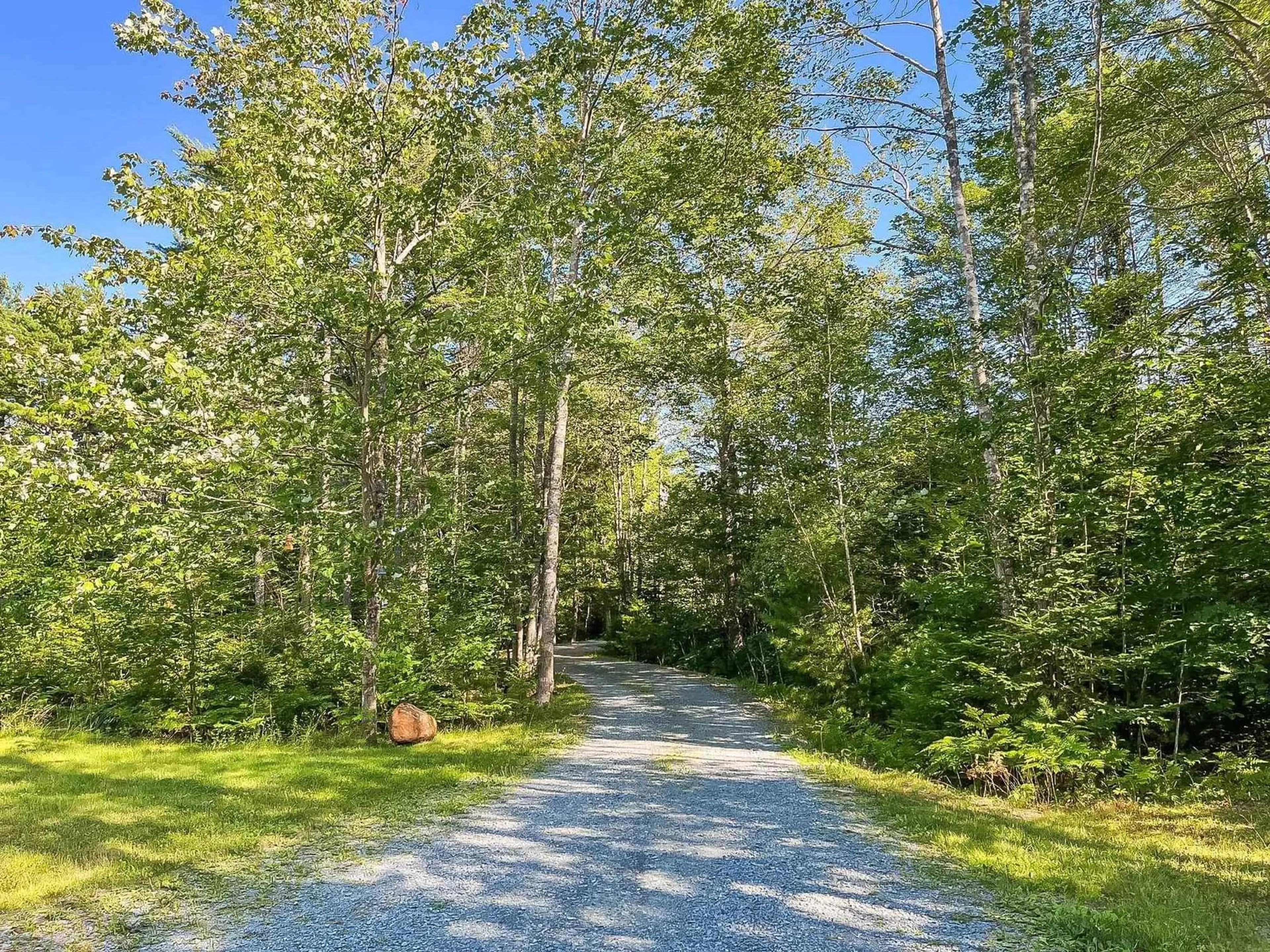 Forest view for 24 New Cumberland Rd, Pleasantville Nova Scotia B0R 1G0