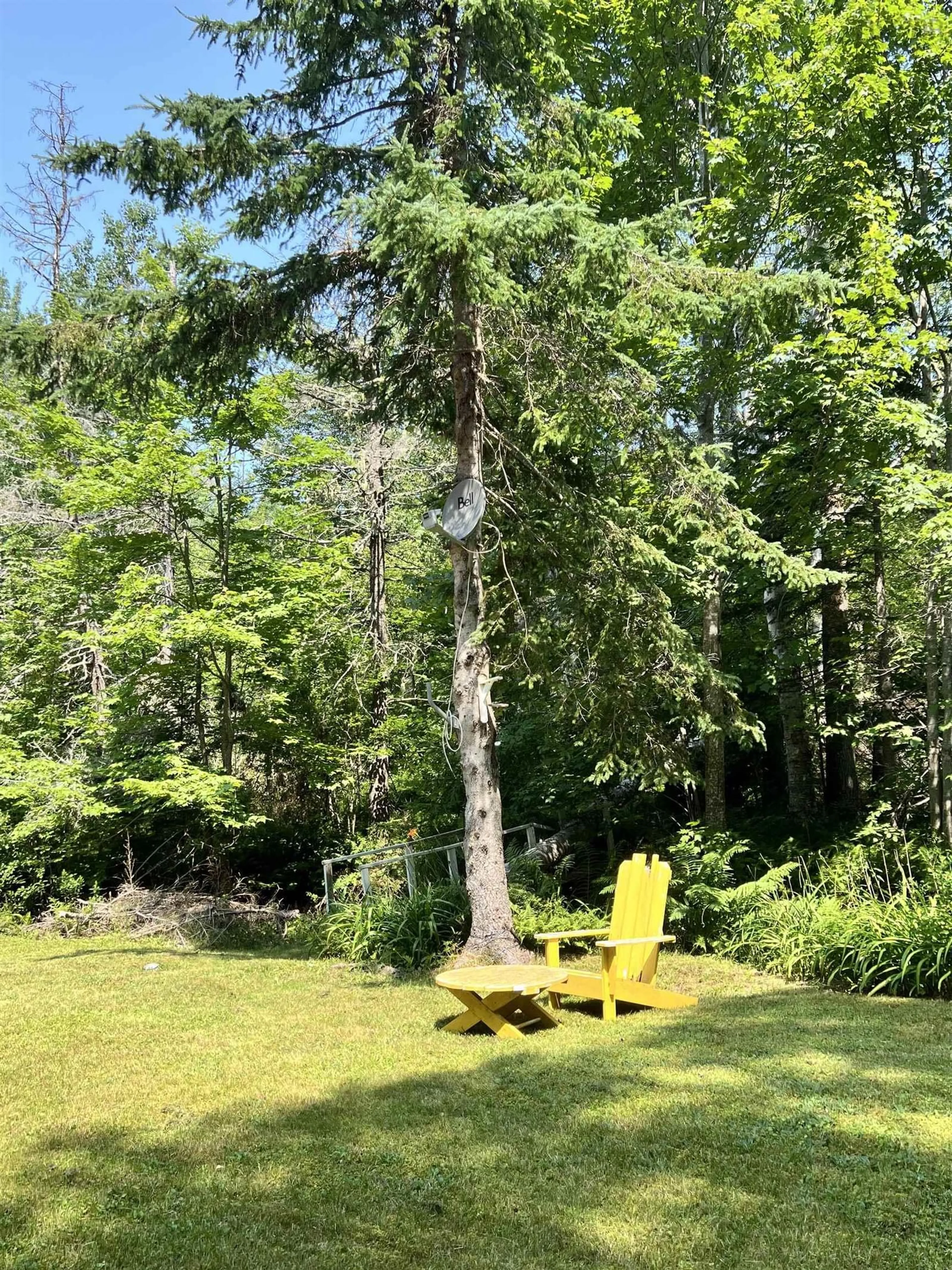 Forest view for 98 Kings Rest Rd, Bass River Nova Scotia B0M 1B0