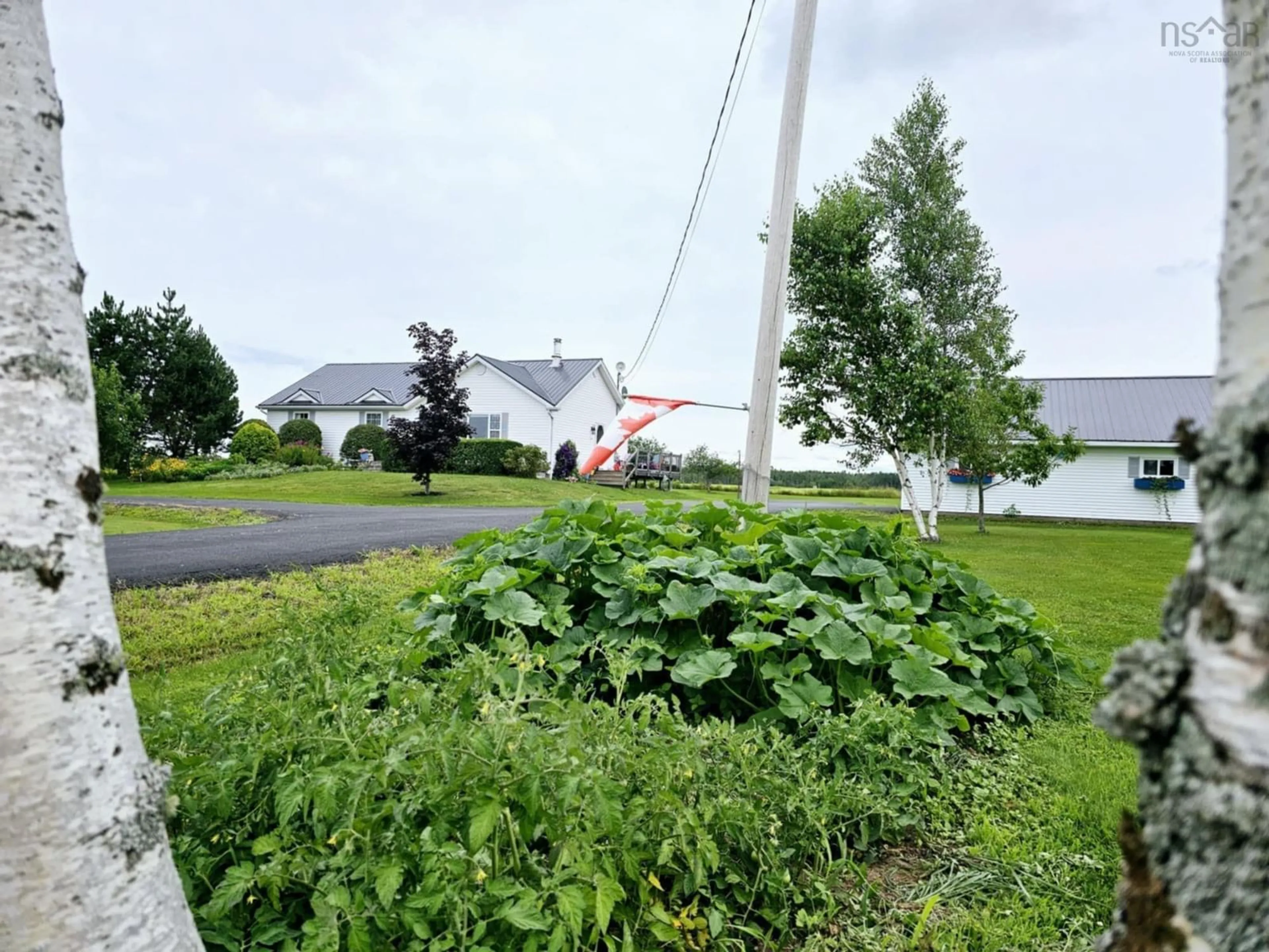 Frontside or backside of a home, the street view for 4474 Highway 6, Brule Nova Scotia B0K 1N0