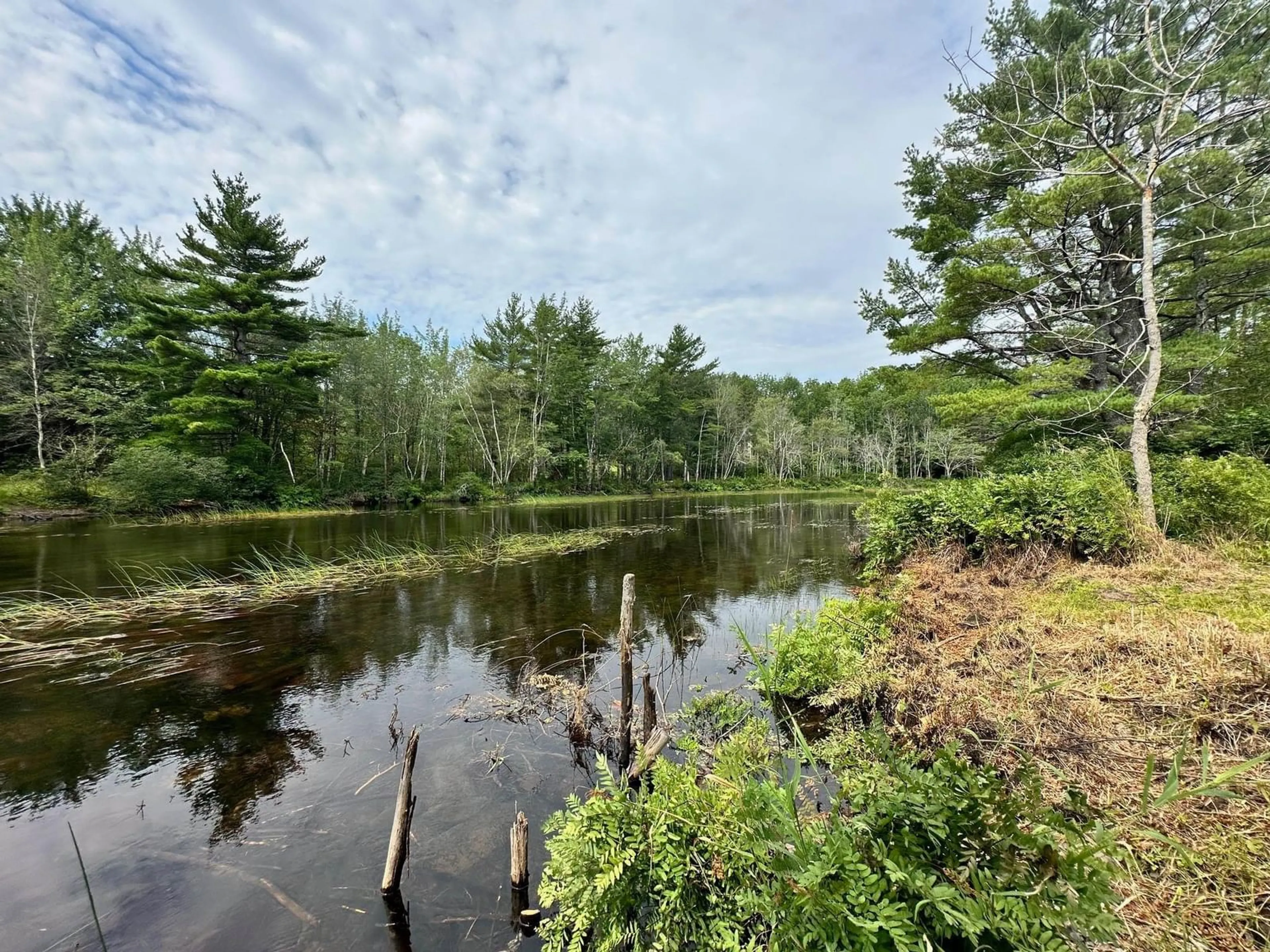 A pic from exterior of the house or condo, the view of lake or river for 24 Buchanan Ave, Enfield Nova Scotia B2T 1C8