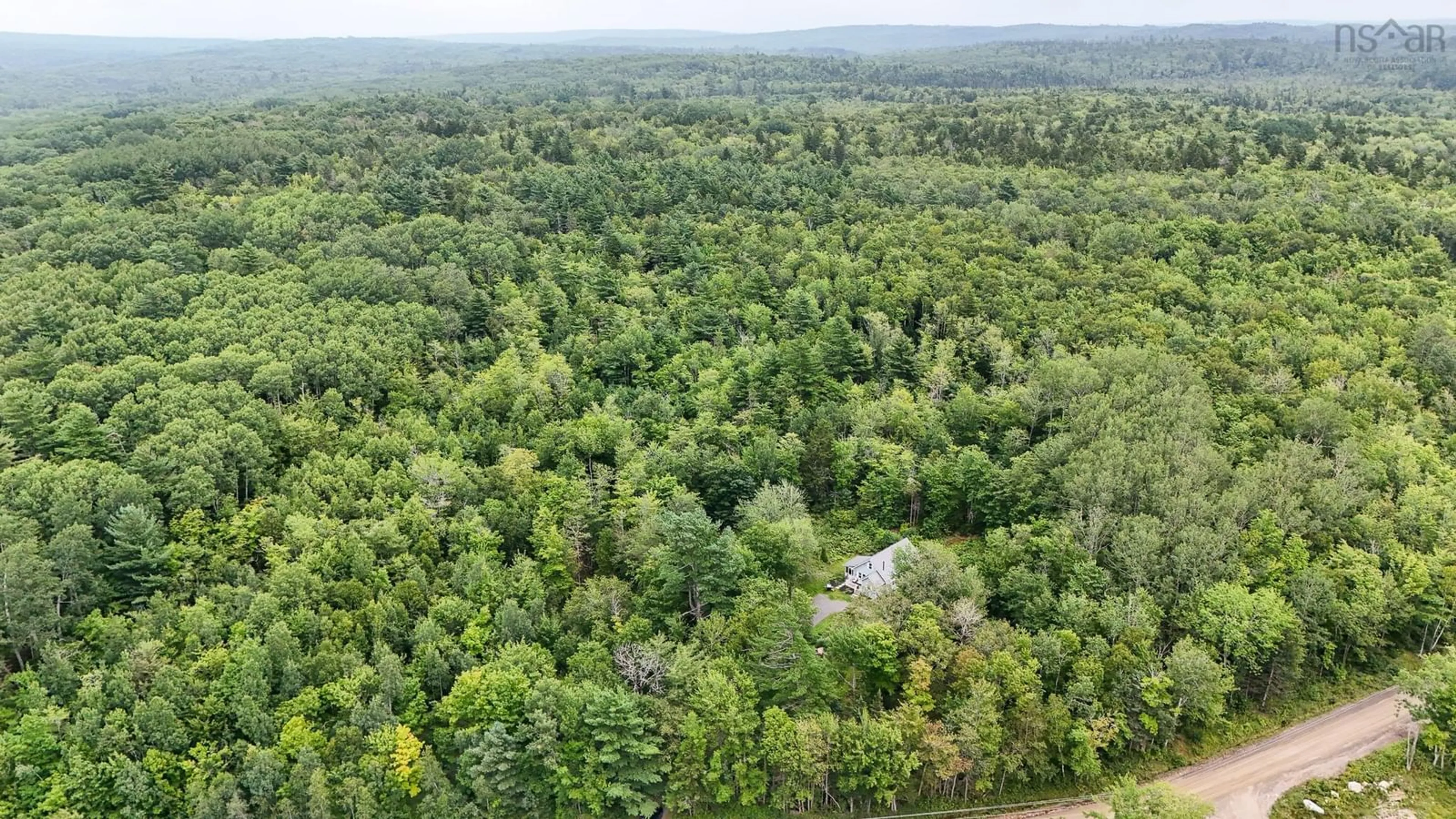 A pic from exterior of the house or condo, forest for 1180 Black River Rd, Black River Lake Nova Scotia B4P 2R1