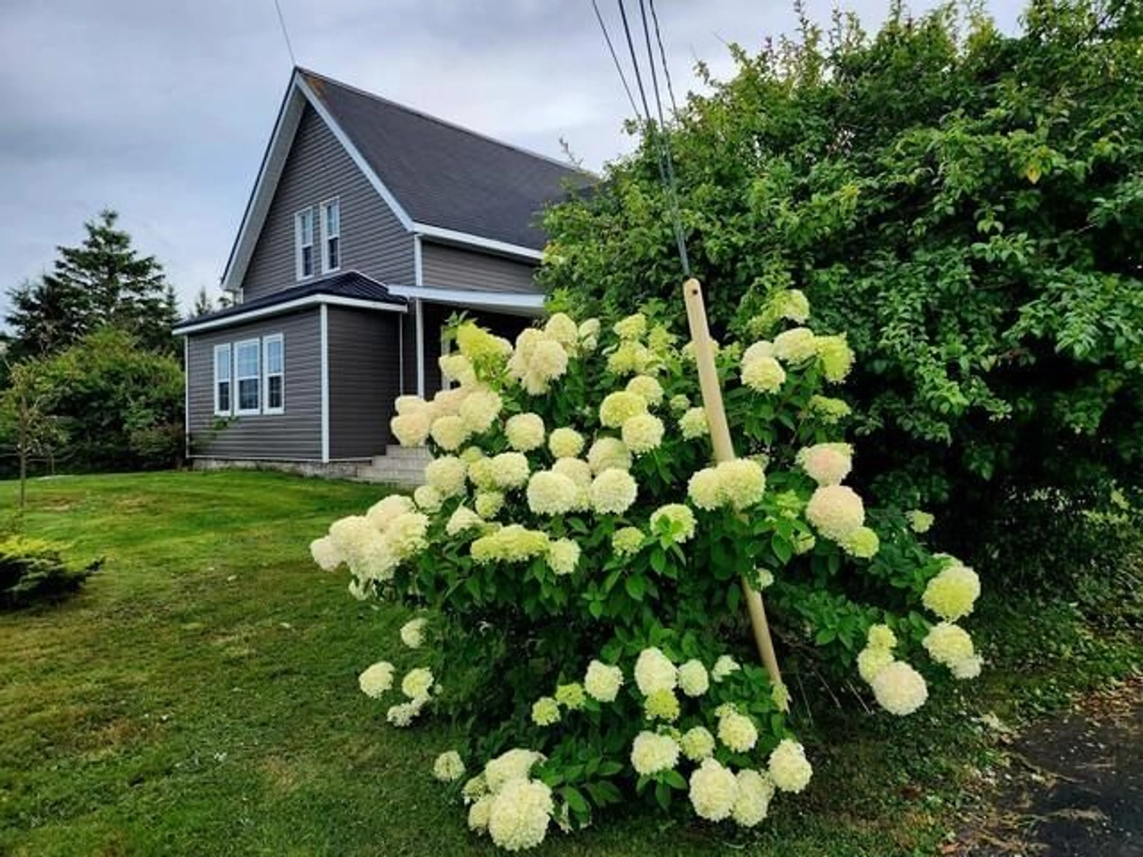 A pic from exterior of the house or condo, cottage for 352 Bear Point Rd, Bear Point Nova Scotia B0W 3B0