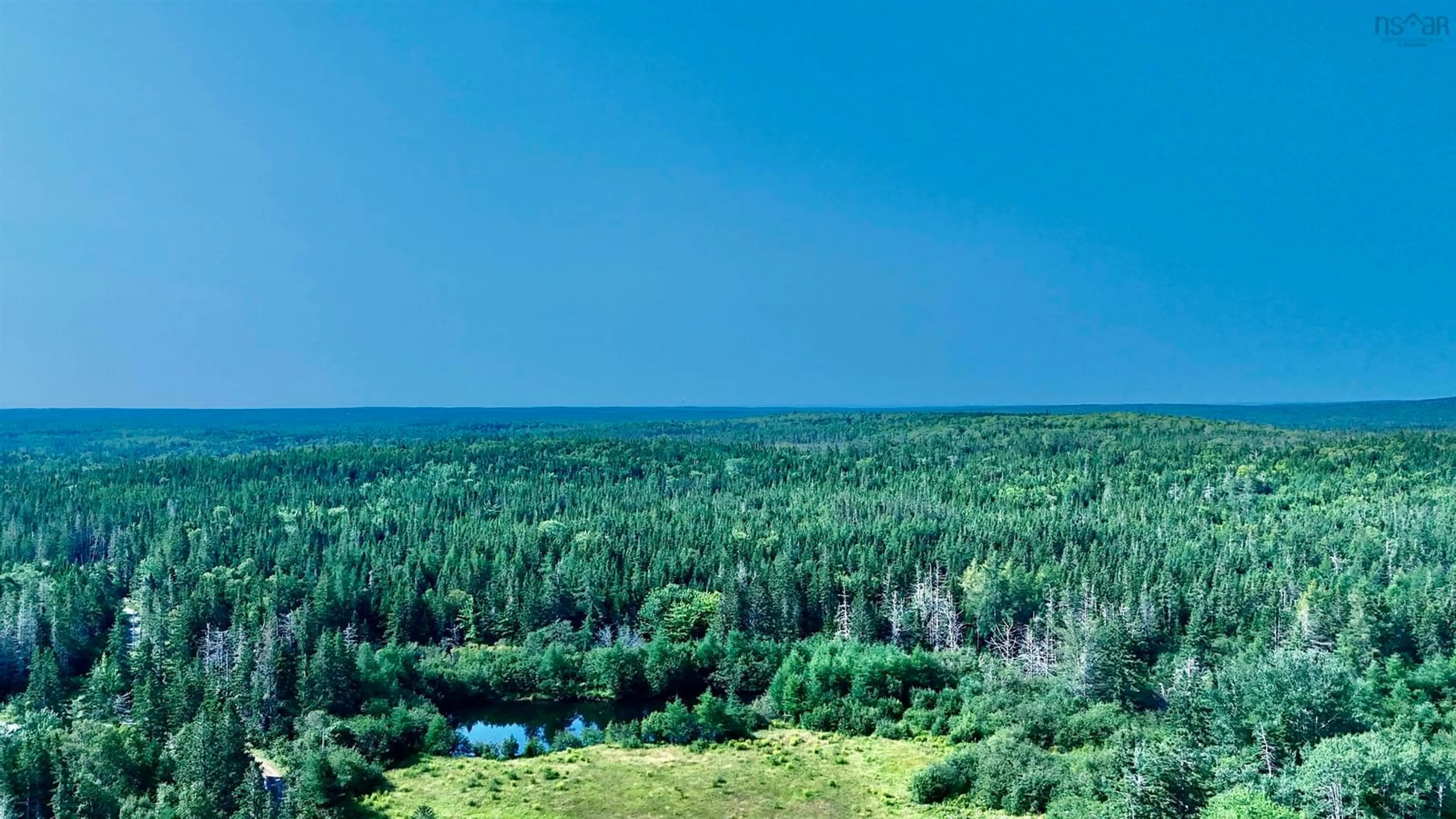 A pic from outside/outdoor area/front of a property/back of a property/a pic from drone, forest/trees view for 1520 Back Road, River Bourgeois Nova Scotia B0E 2X0