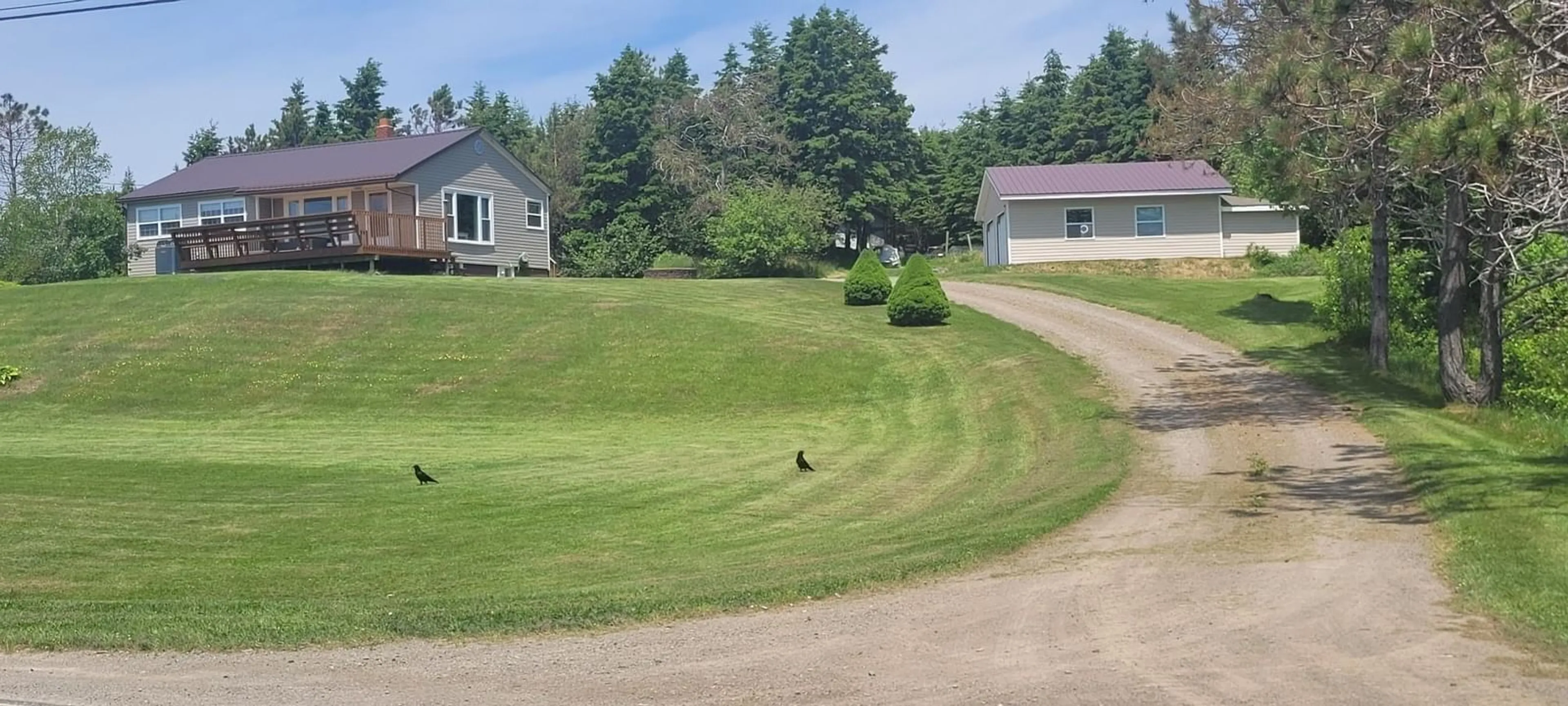 Frontside or backside of a home, the street view for 8327 Highway 4, River Bourgeois Nova Scotia B0E 2X0