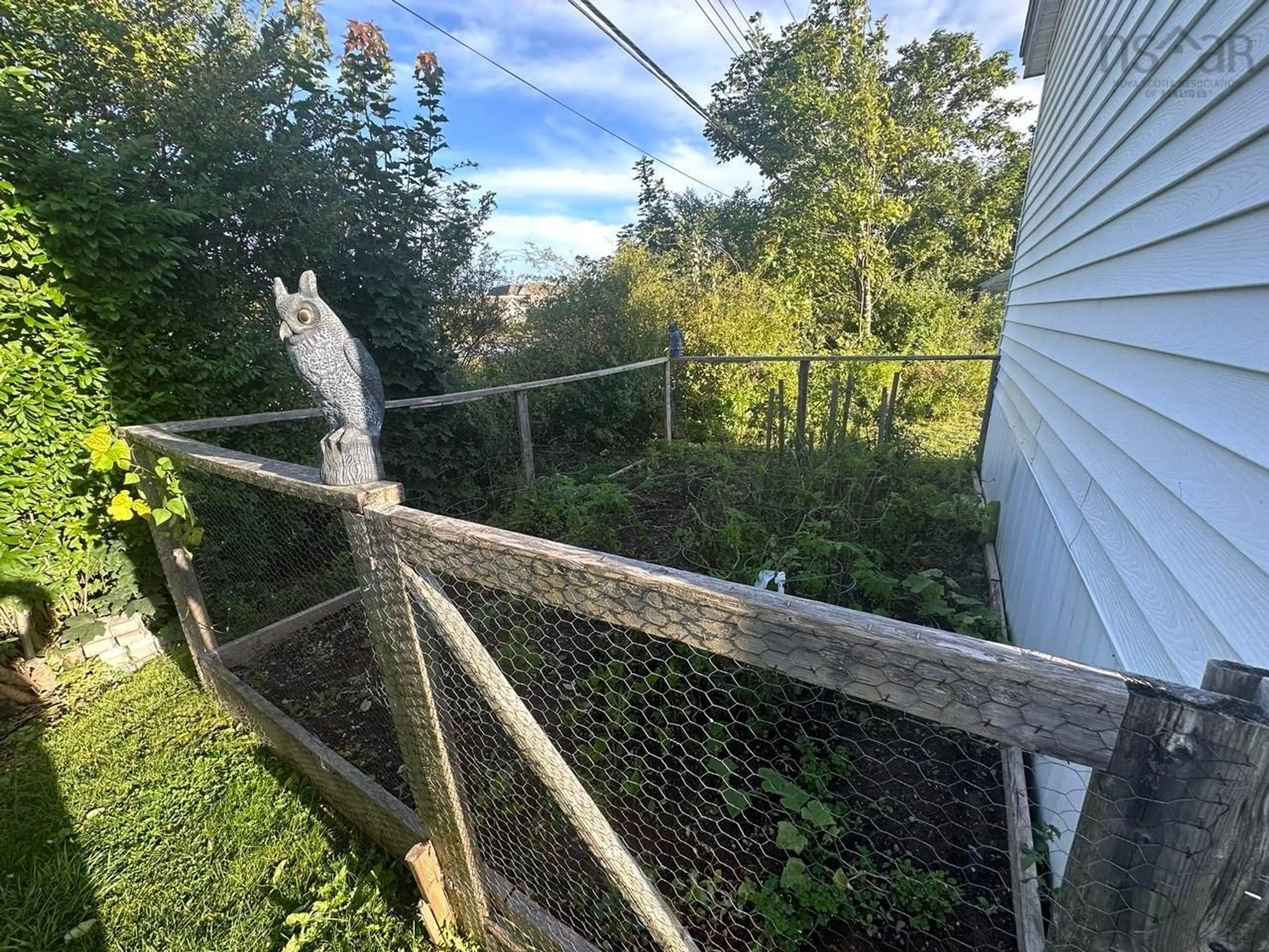 Frontside or backside of a home, the fenced backyard for 19 Florence Ave, Dartmouth Nova Scotia B2T 2A4