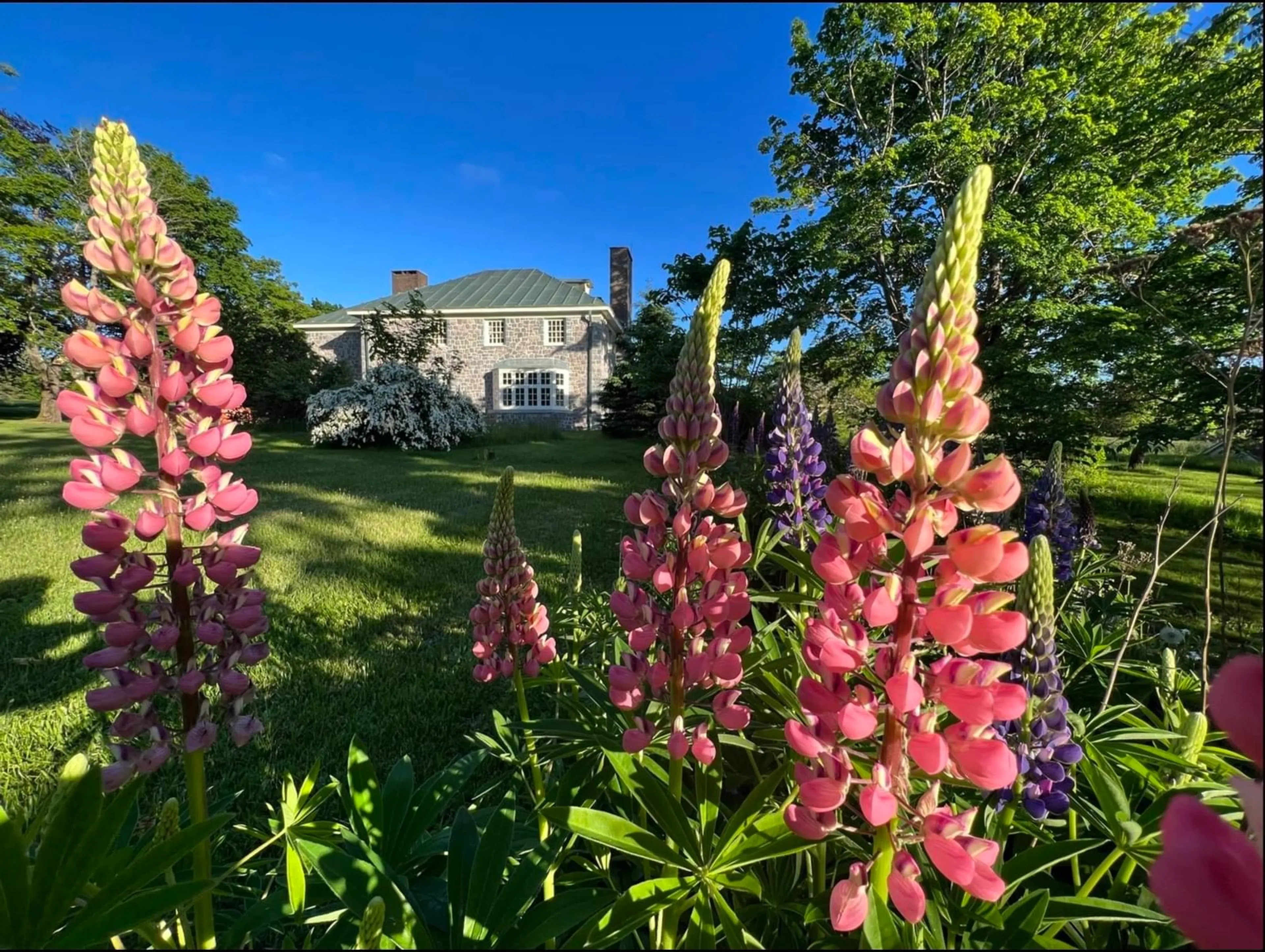 A pic from exterior of the house or condo, cottage for 3746 Highway 1, Allains Creek Nova Scotia B0S 1A0