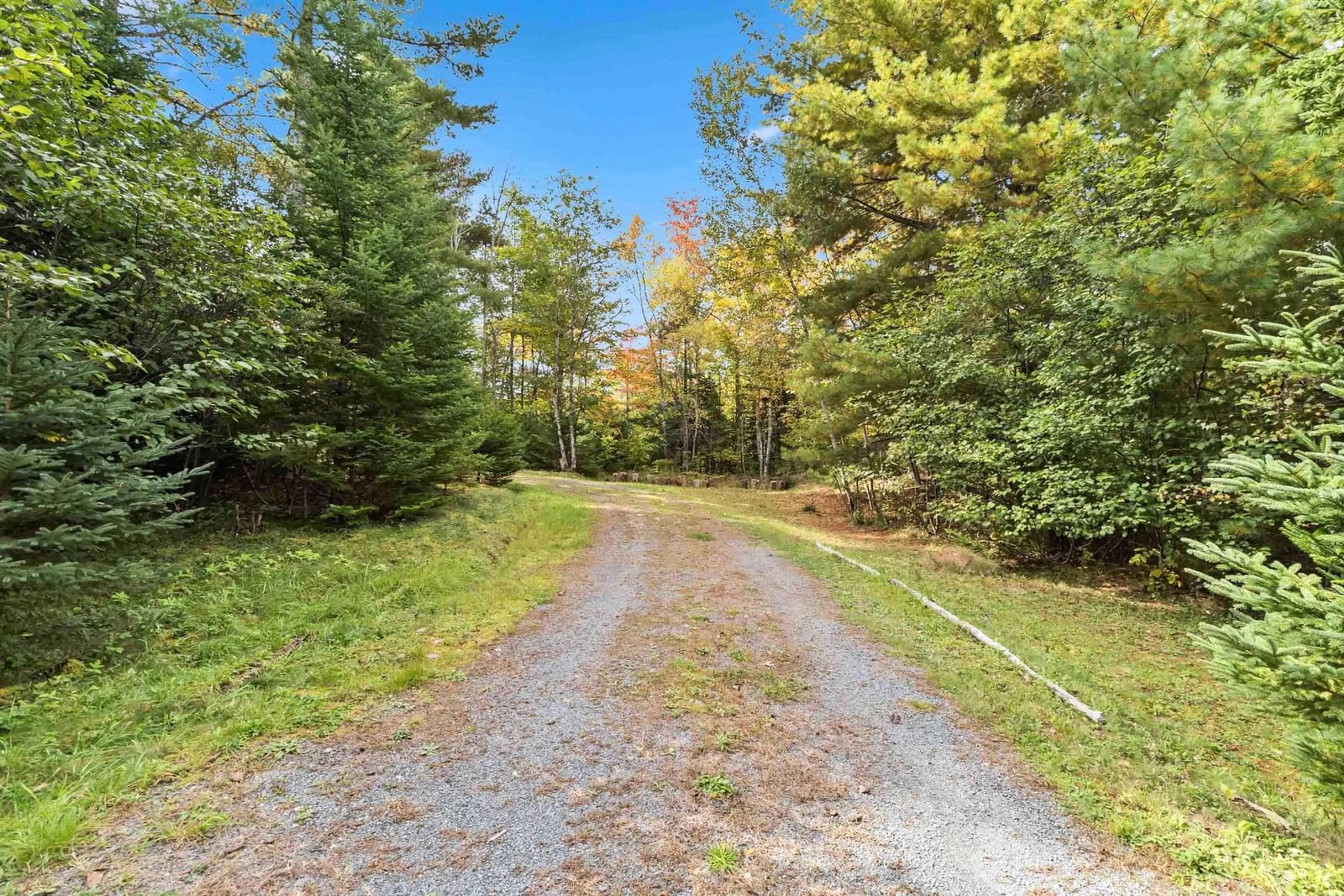 Patio, forest for 67 Fieldview Dr, Scarsdale Nova Scotia B0R 1A0