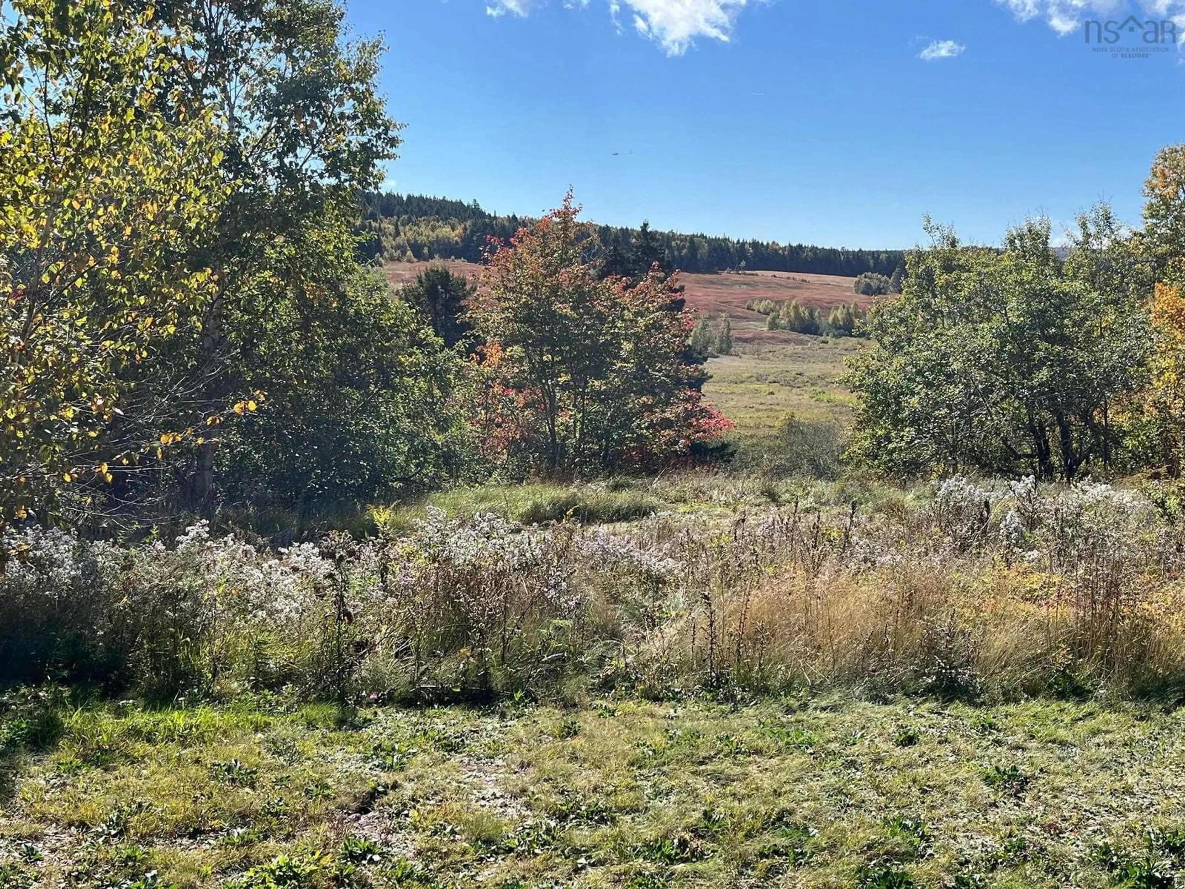 A pic from outside/outdoor area/front of a property/back of a property/a pic from drone, forest/trees view for 98 South Branch Rd, New Salem Nova Scotia B0M 1S0